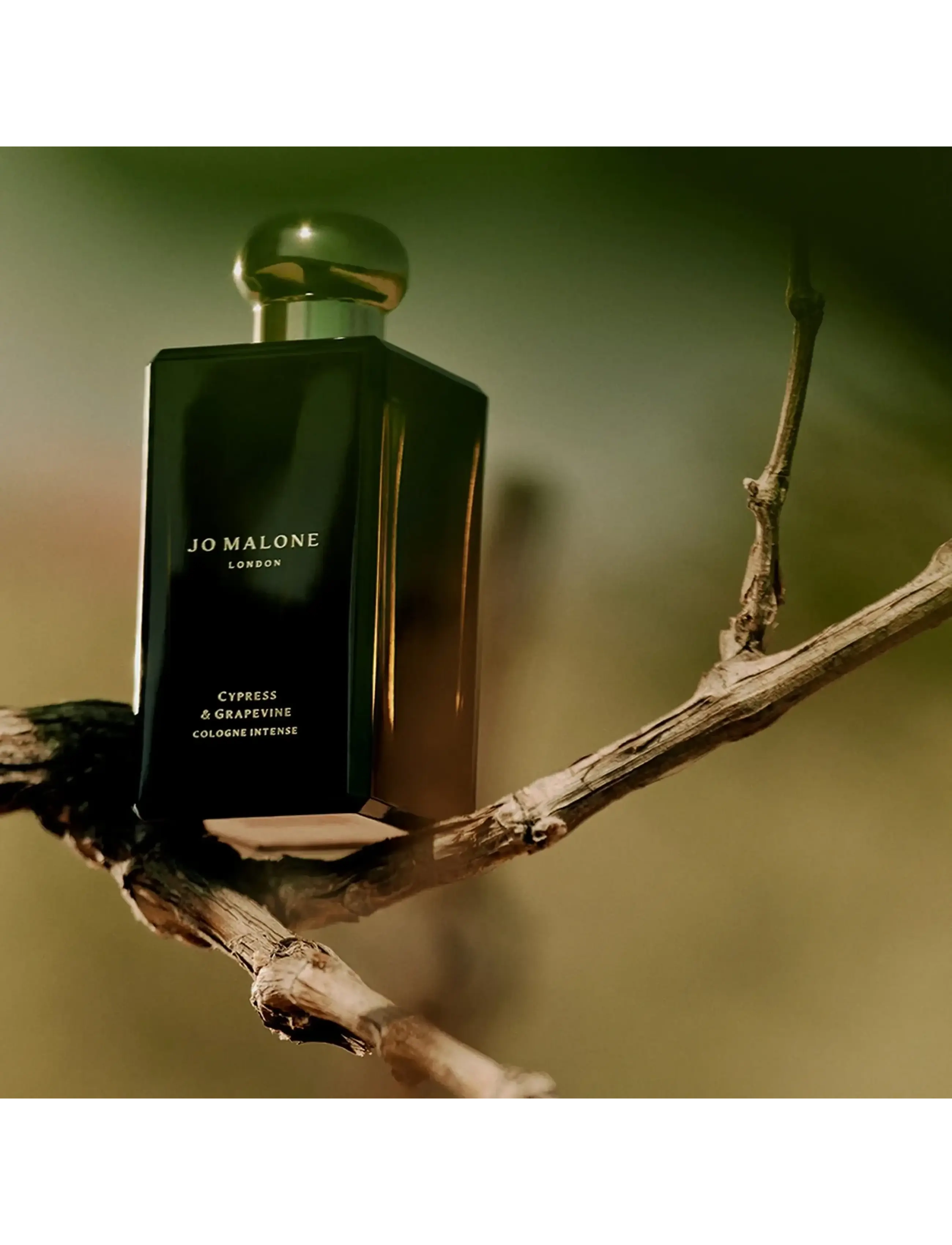 Cypress & Grapevine Cologne Intense 6