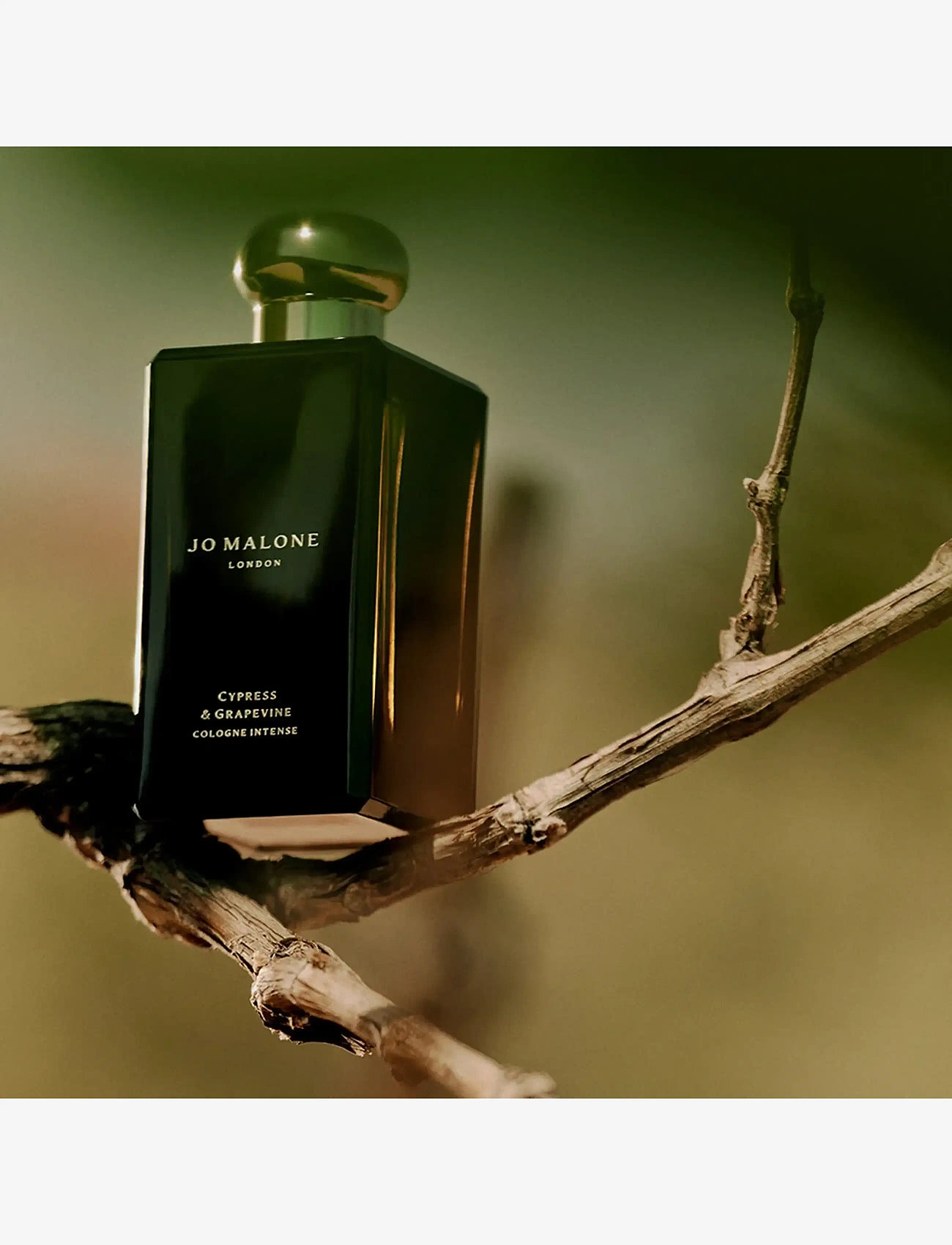 Jo Malone London - Cypress & Grapevine Cologne Intense - unisex - clear - 5