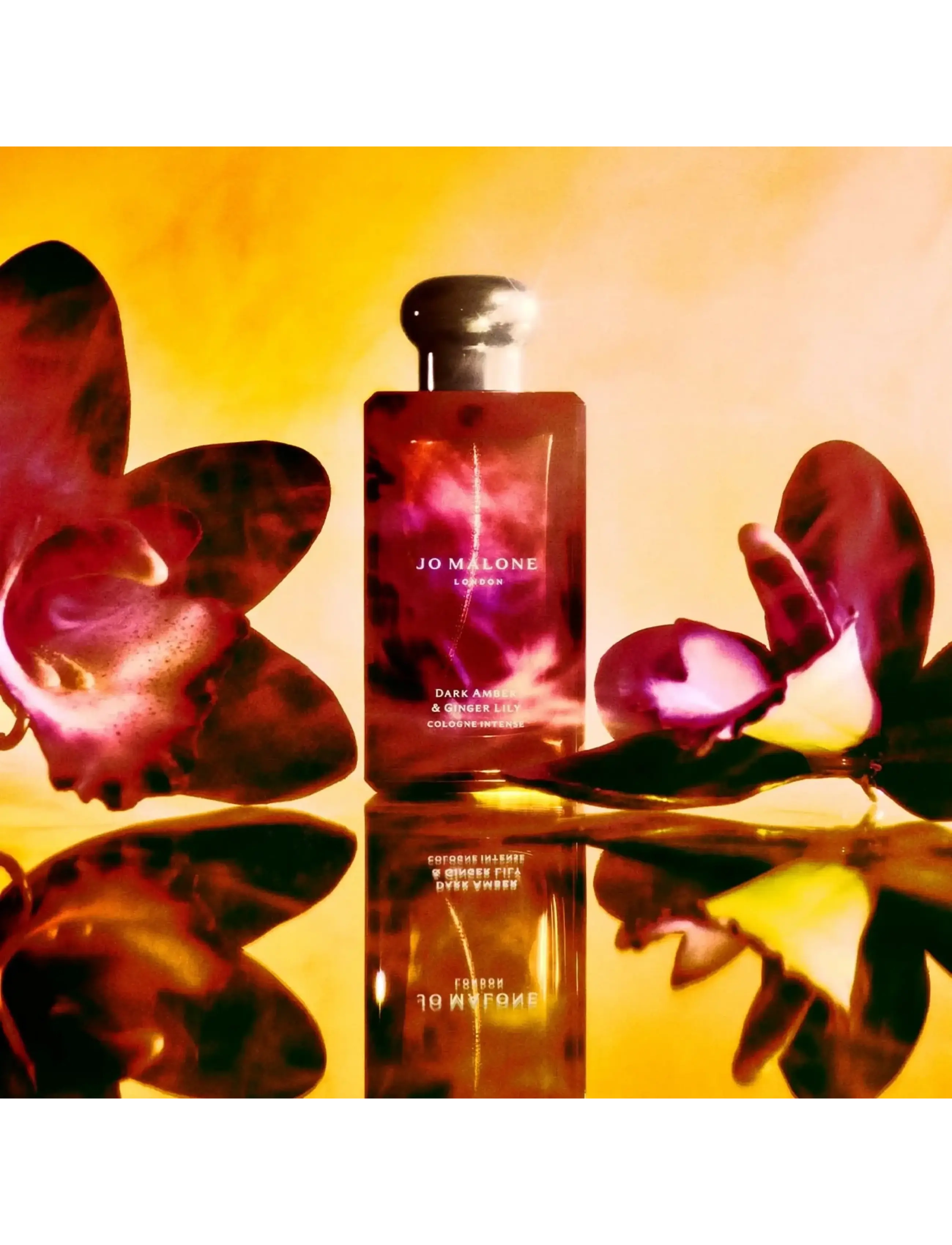 Dark Amber & Ginger Lily Cologne Intense 3