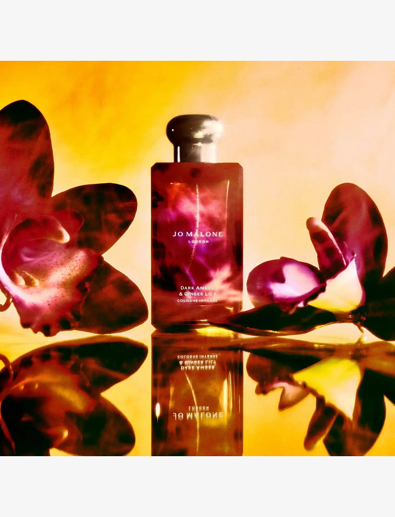 Jo Malone London - Dark Amber & Ginger Lily Cologne Intense - unisex - clear - 2