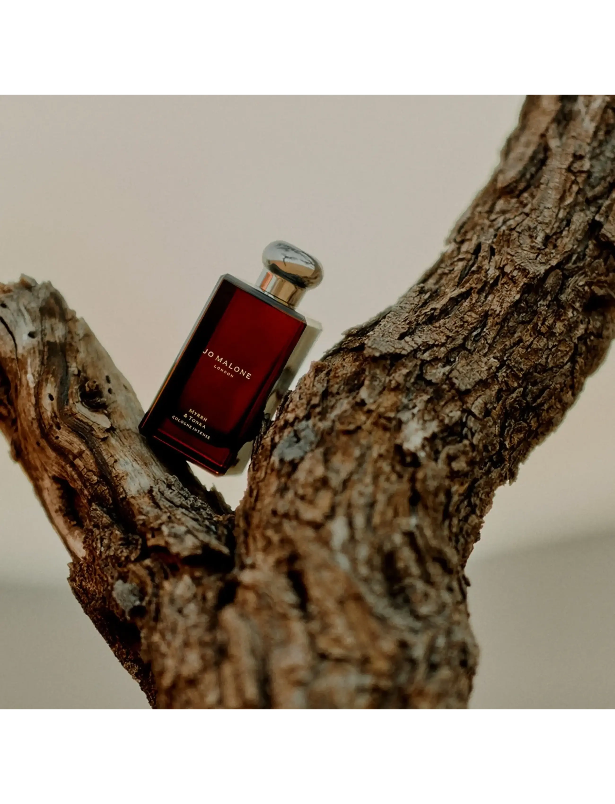 Myrrh & Tonka Cologne Intense 5