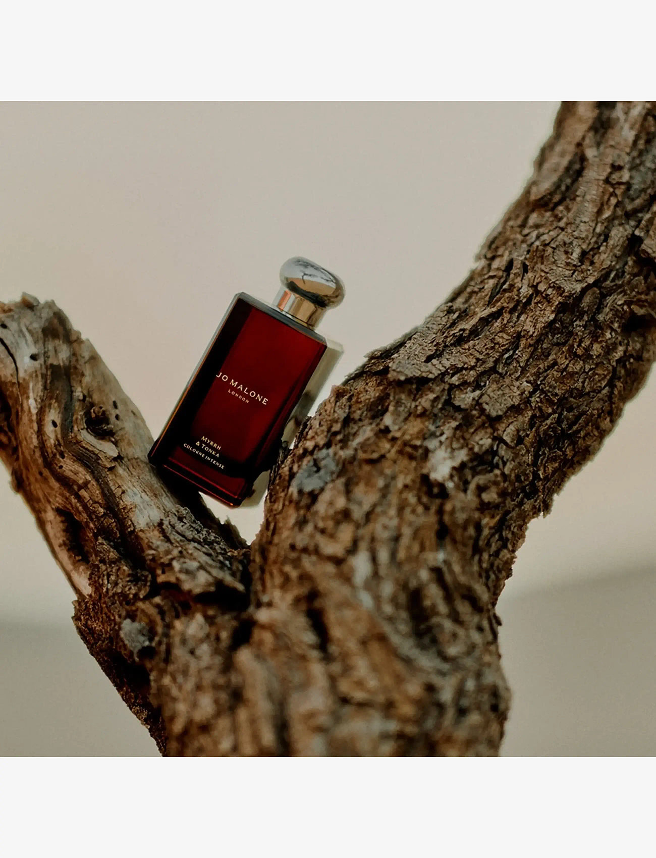 Jo Malone London - Myrrh & Tonka Cologne Intense - unisex - clear - 4