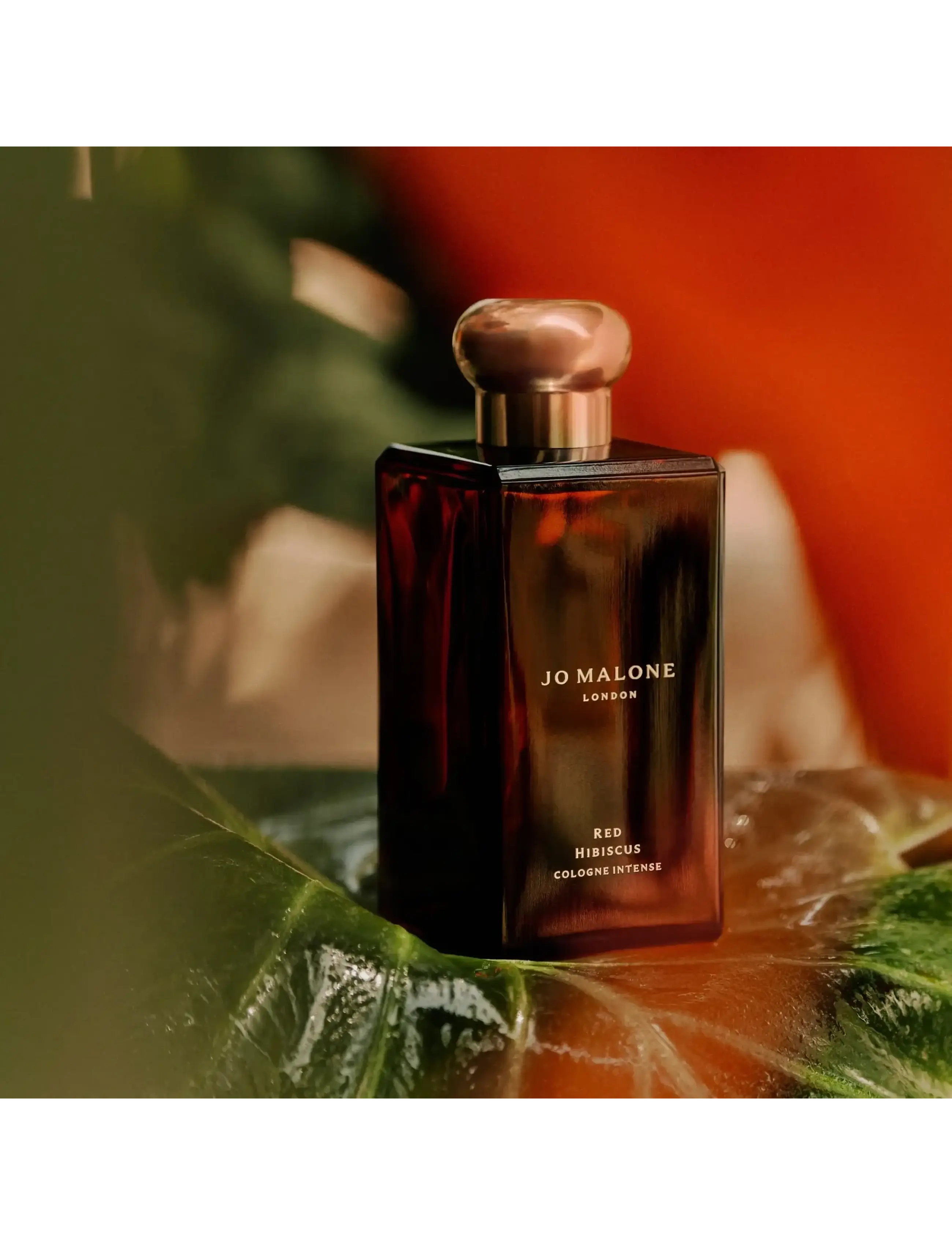 Red Hibiscus Cologne Intense 3