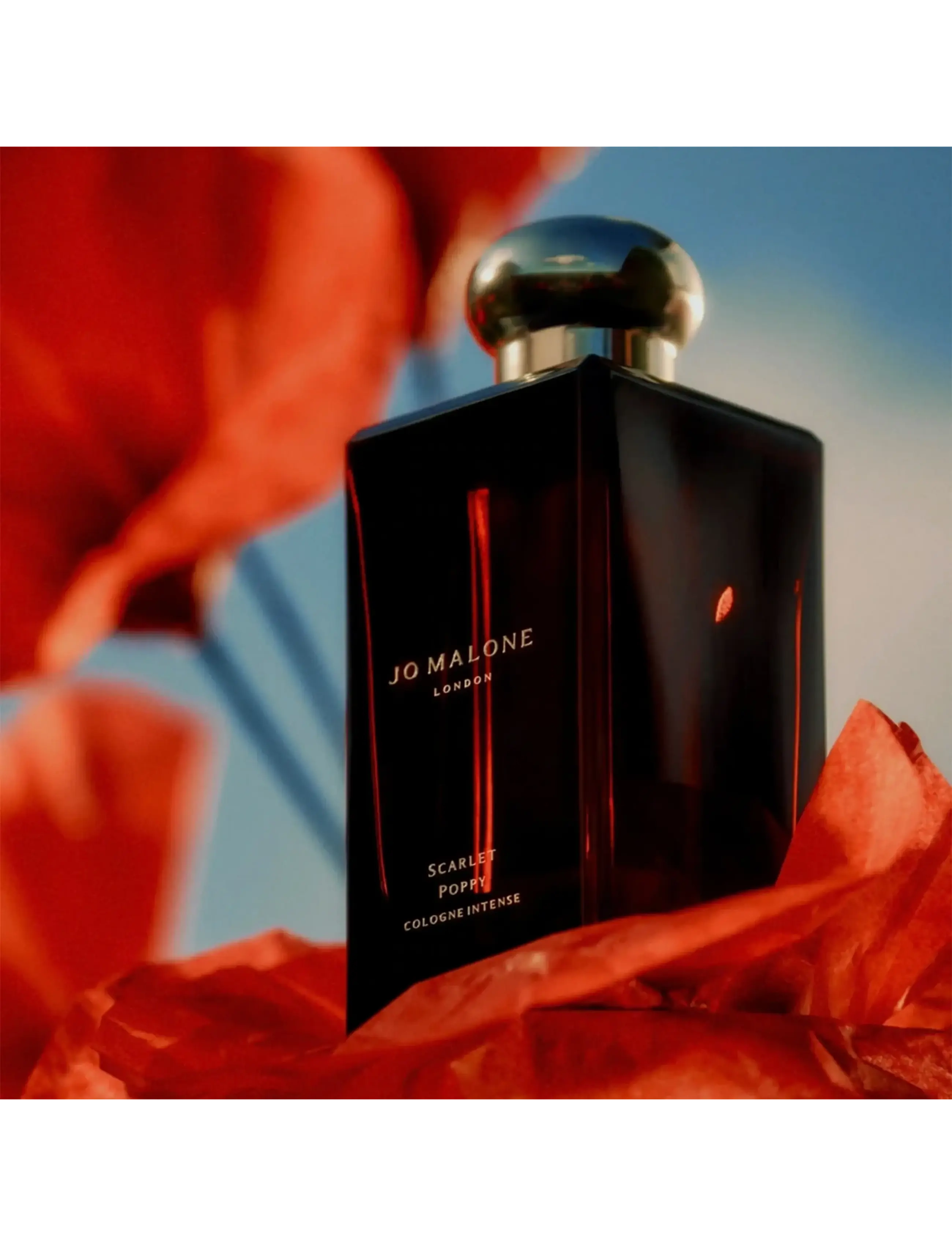 Scarlet & Poppy Cologne Intense 5