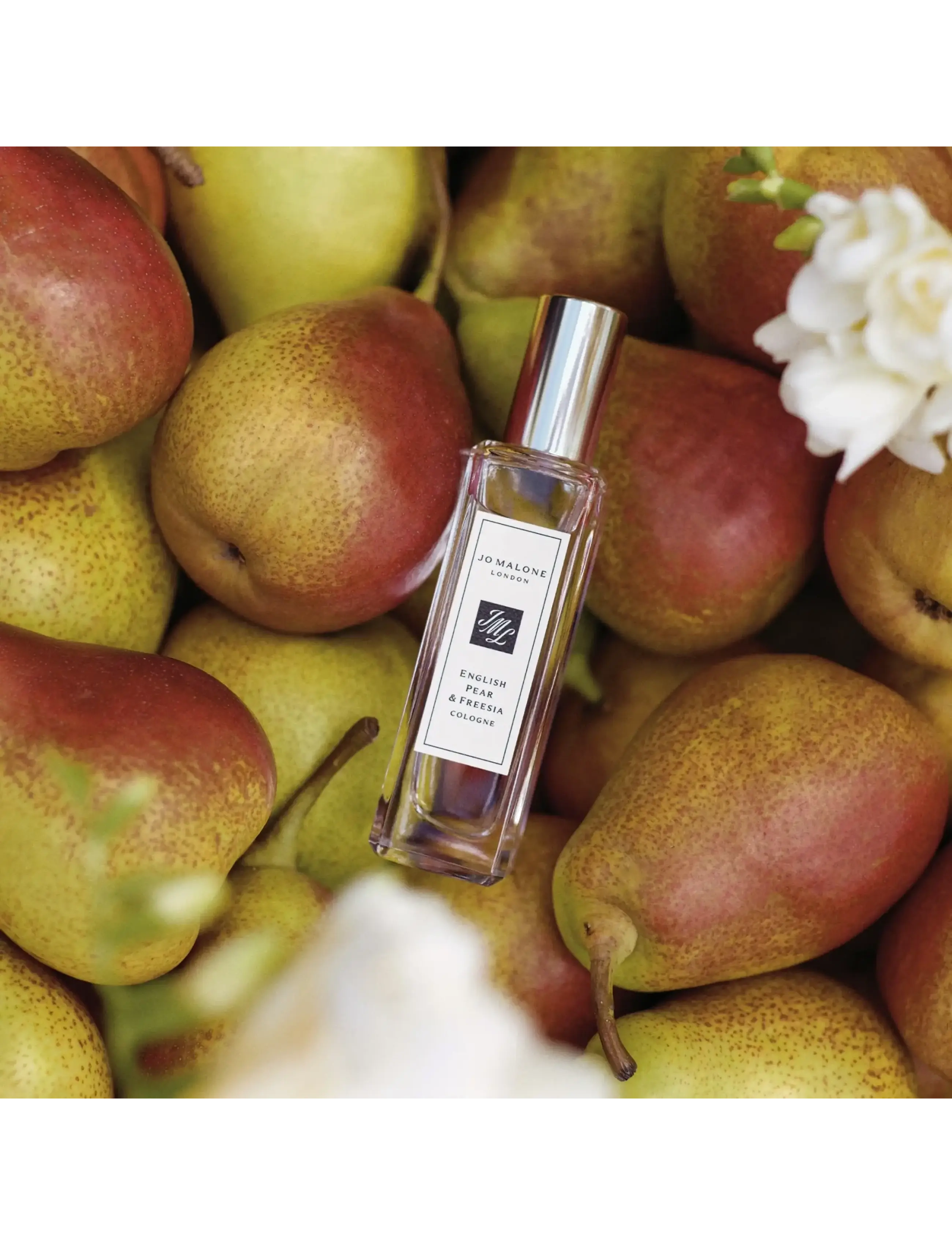English Pear & Freesia Cologne 5