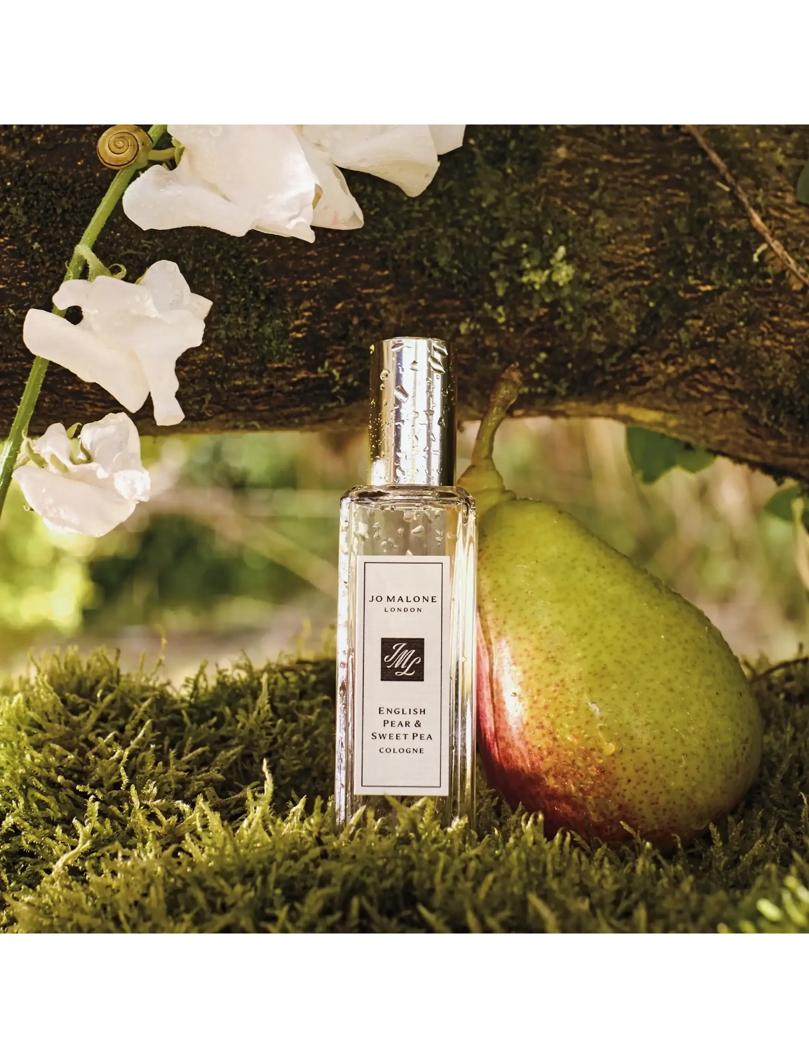 Jo Malone London - English Pear & Sweet Pea Cologne - unisex - clear - 3
