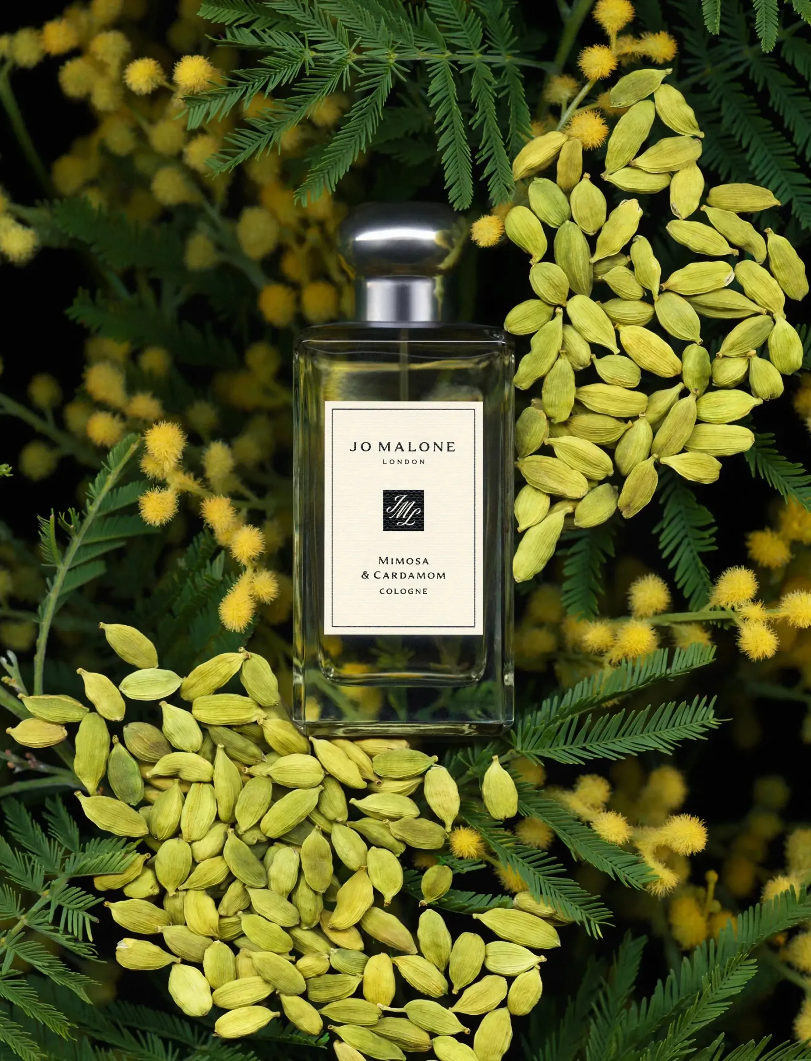 Jo Malone London - Mimosa & Cardemom Cologne - unisex - clear - 3