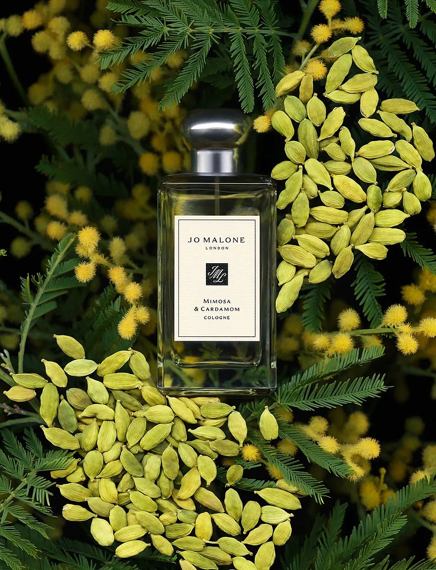 Jo Malone London - Mimosa & Cardemom Cologne - unisex - clear - 3