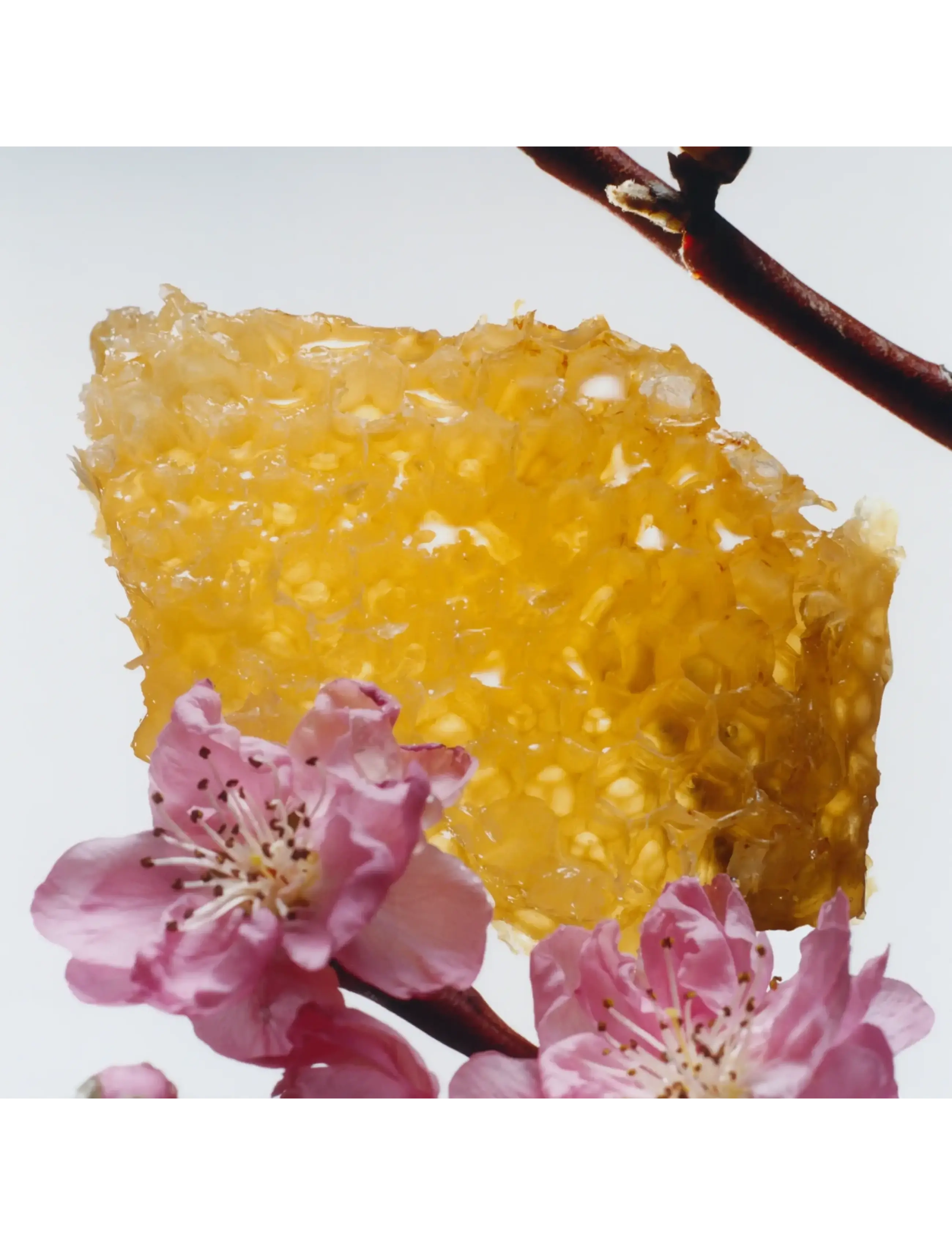 Nectrarin Blossom & Honey Cologne 3