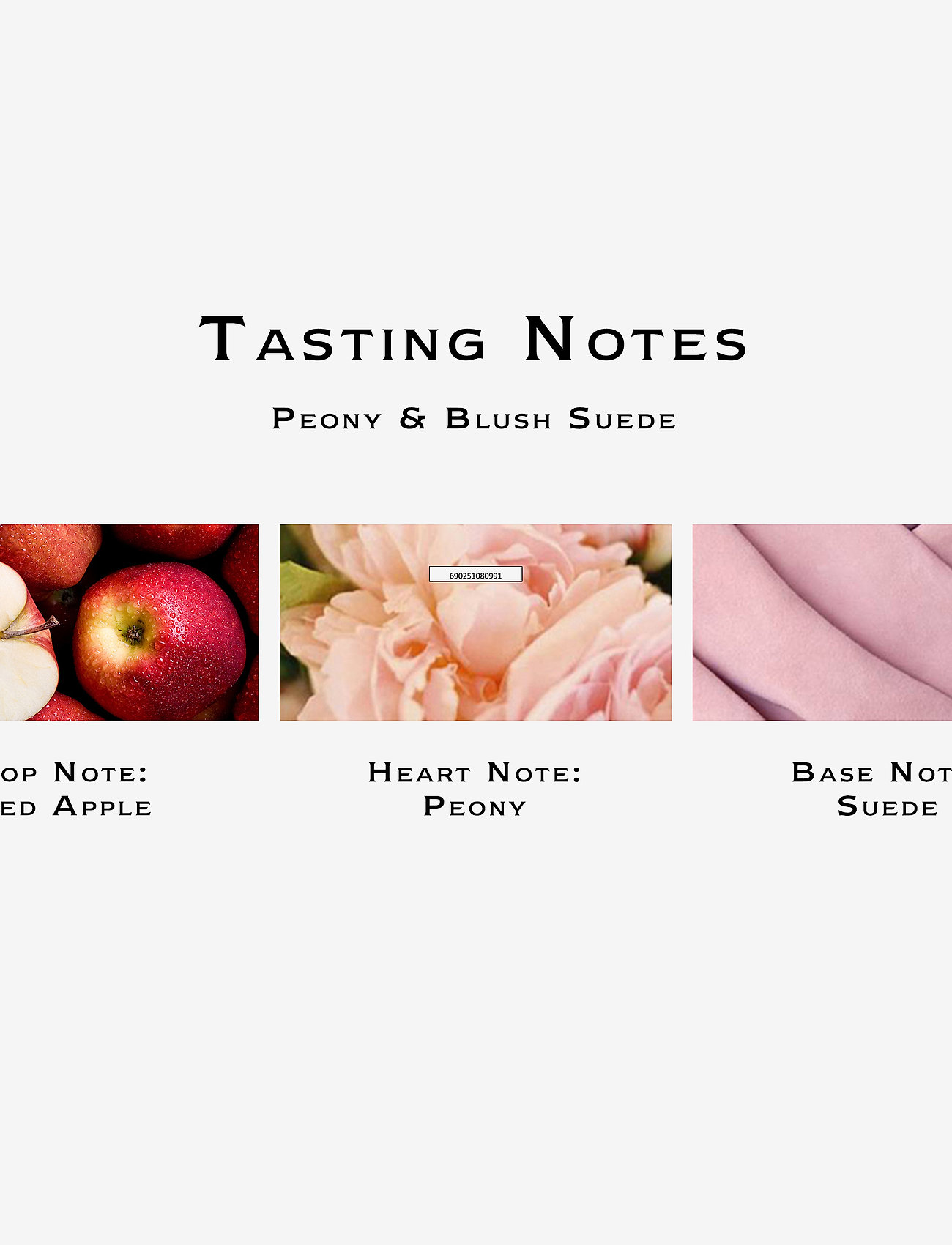 Jo Malone London - Peony & Blush Suede Cologne Pre-Pack - clear - 4