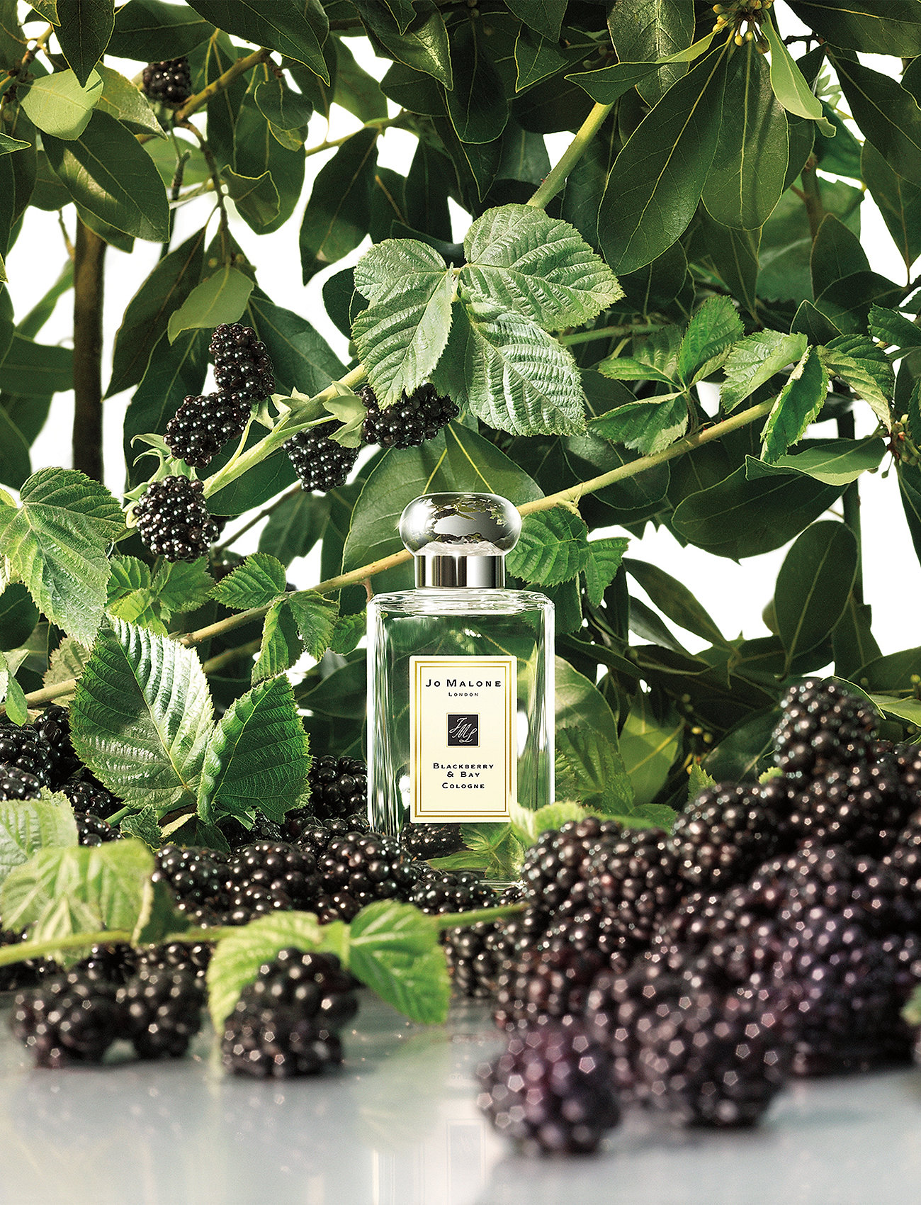 Jo Malone London - Blackberry & Bay Cologne Pre-Pack - mõlemale soole - clear - 3
