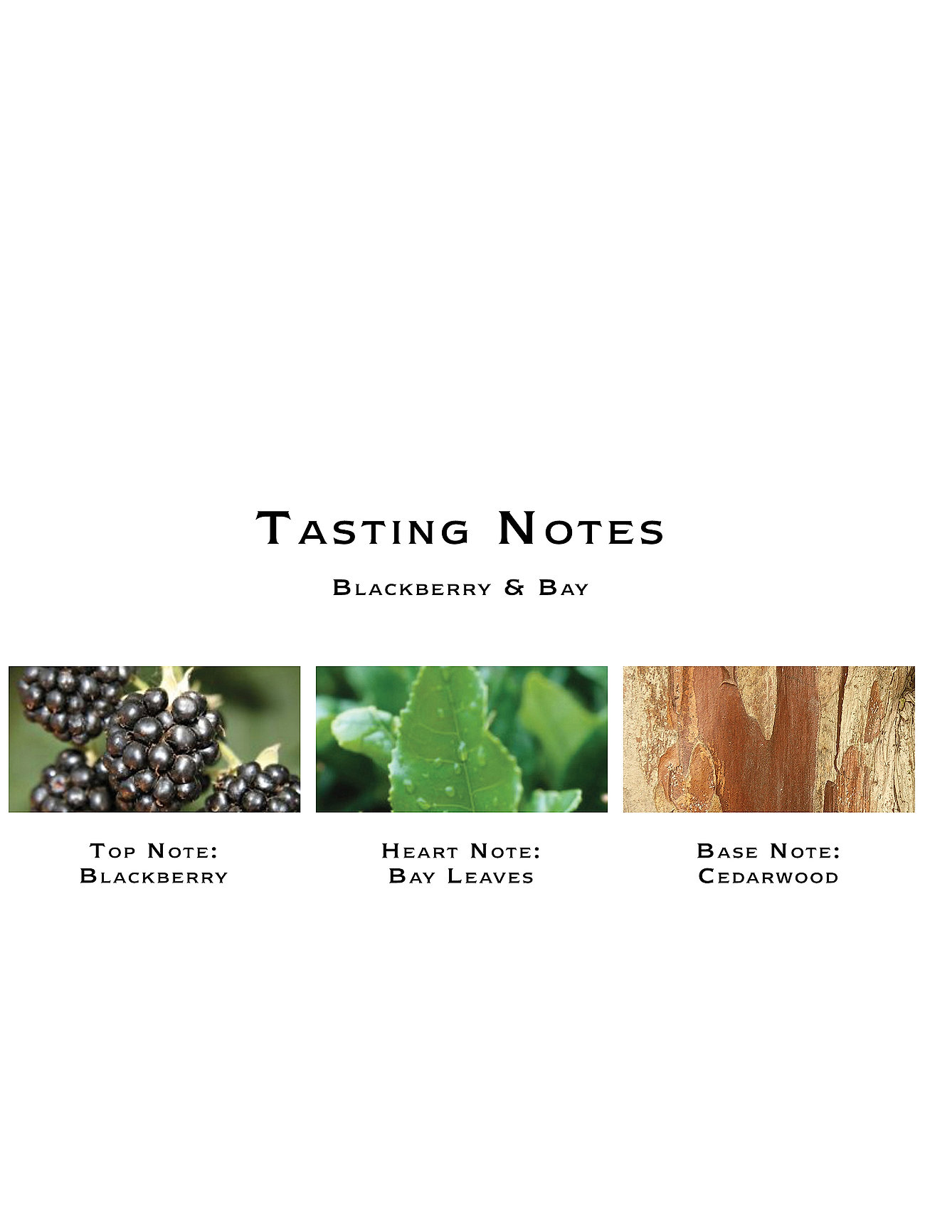 Jo Malone London - Blackberry & Bay Cologne Pre-Pack - mõlemale soole - clear - 4