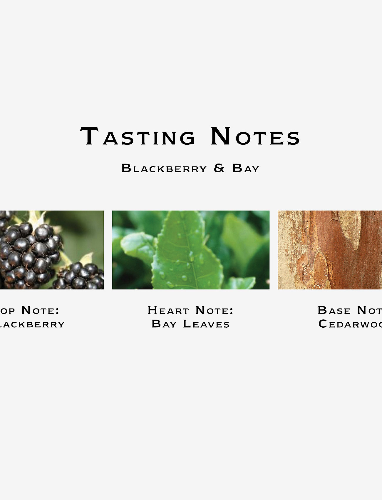 Jo Malone London - Blackberry & Bay Cologne Pre-Pack - unisex - clear - 3