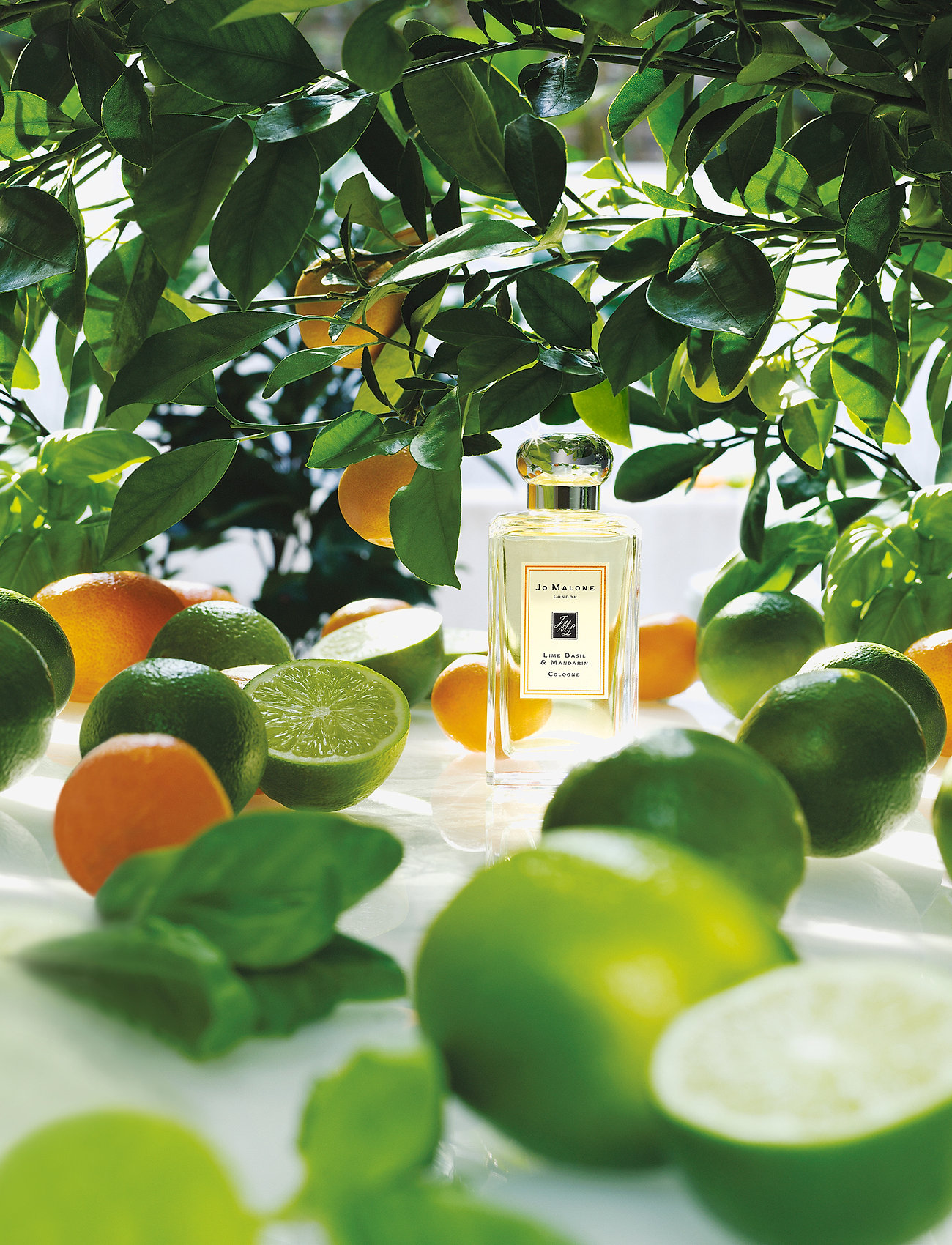 Jo Malone London - Lime Basil & Mandarin Cologne Pre-Pack - unisex - clear - 3