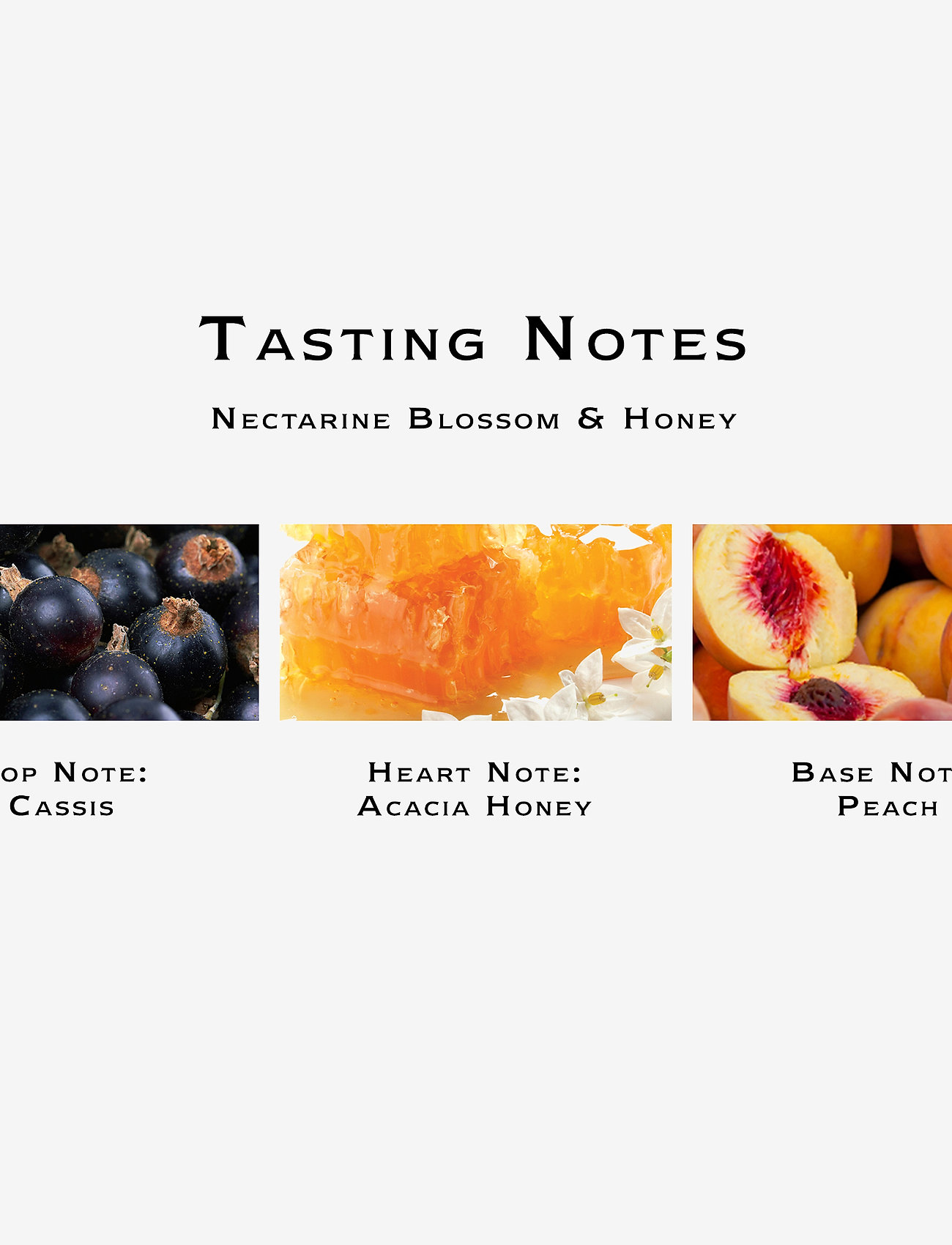 Jo Malone London - Nectarine Blossom & Honey Cologne Pre-Pack - unisex - clear - 3