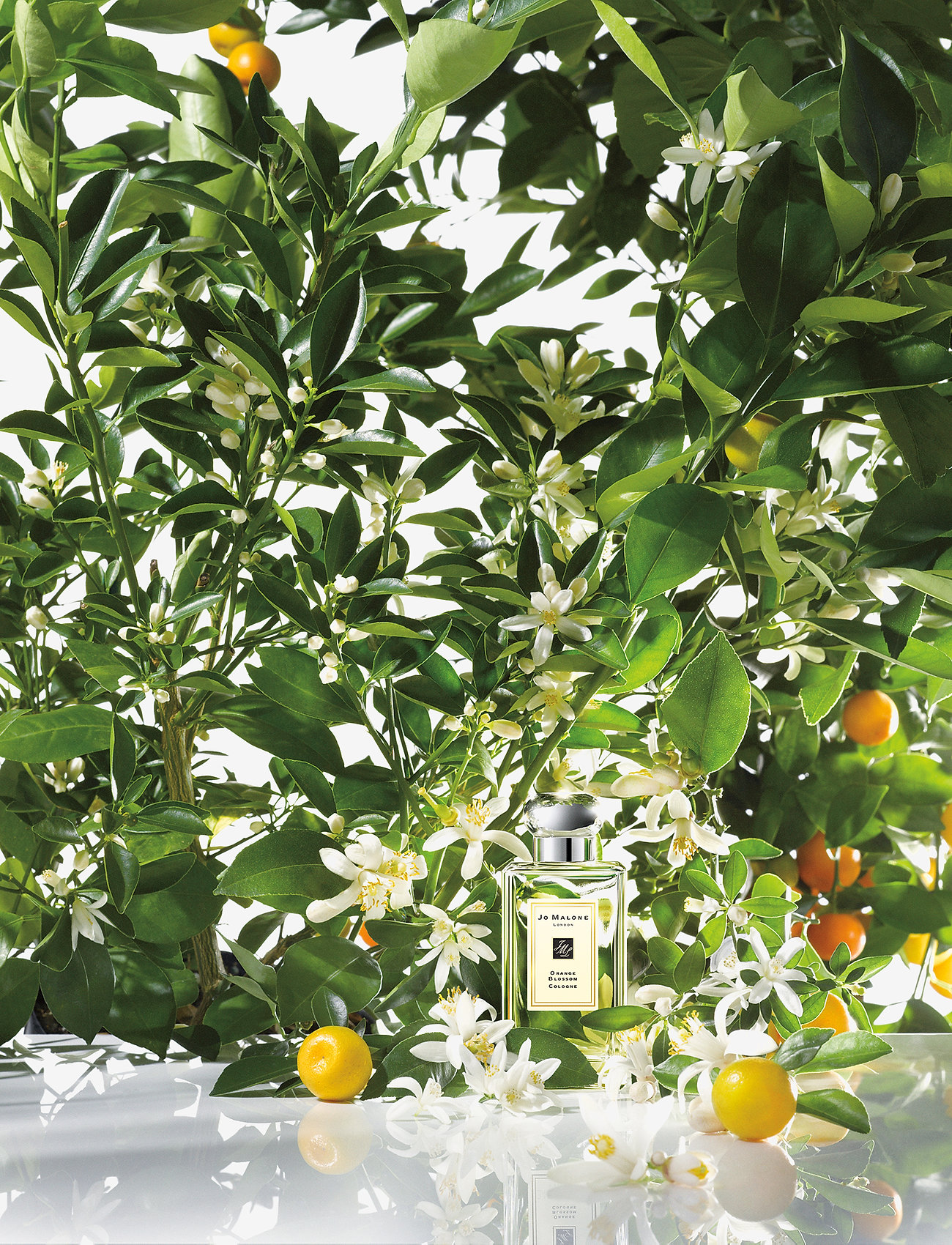 Jo Malone London - Orange Blossom Cologne - clear - 3