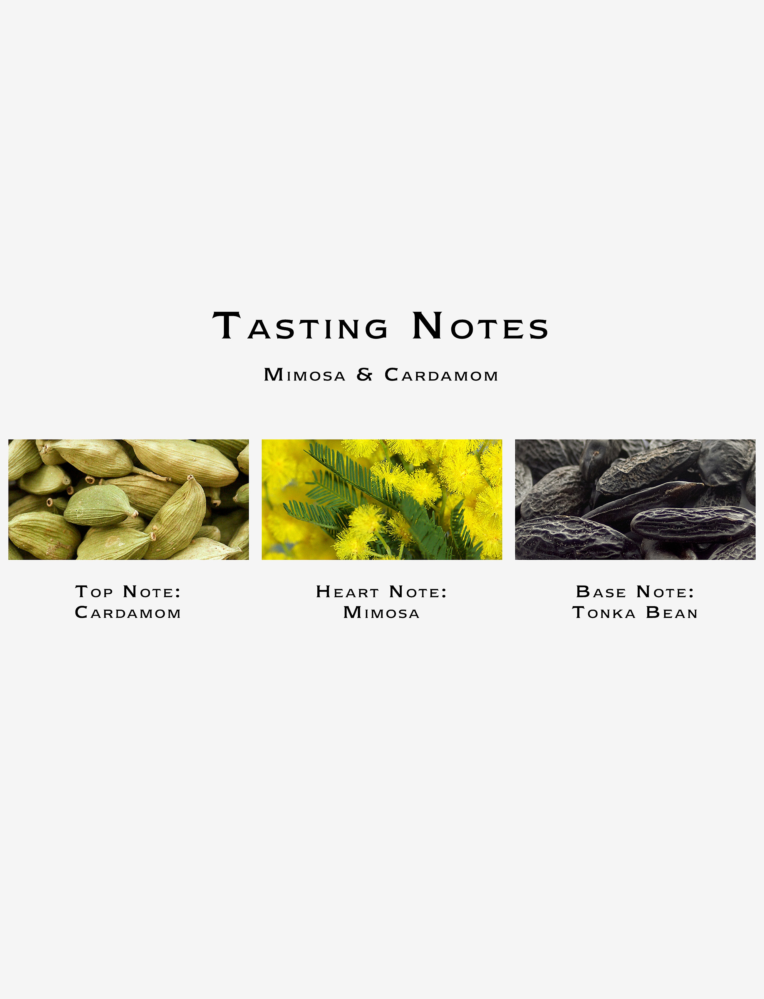 Mimosa & Cardamom Cologne Pre-Pack 4