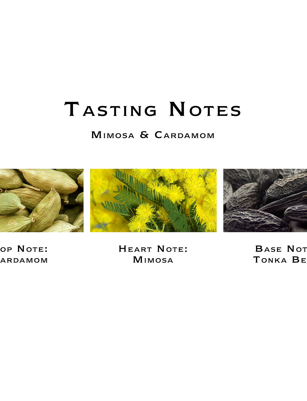 Jo Malone London - Mimosa & Cardamom Cologne Pre-Pack - mõlemale soole - clear - 3