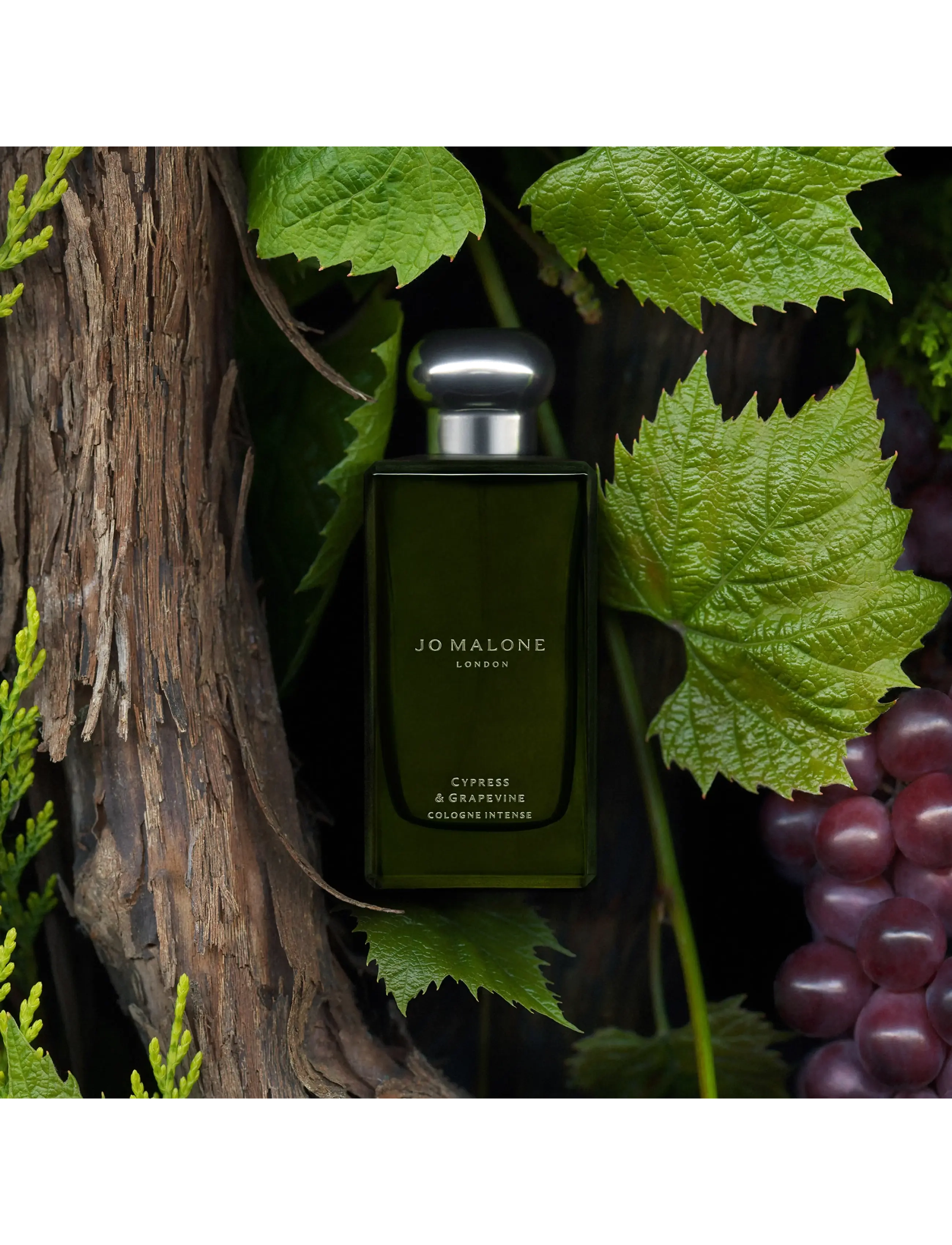Jo Malone London - Cypress & Grapevine Everywhere & More Fragrance Set - no color - 2