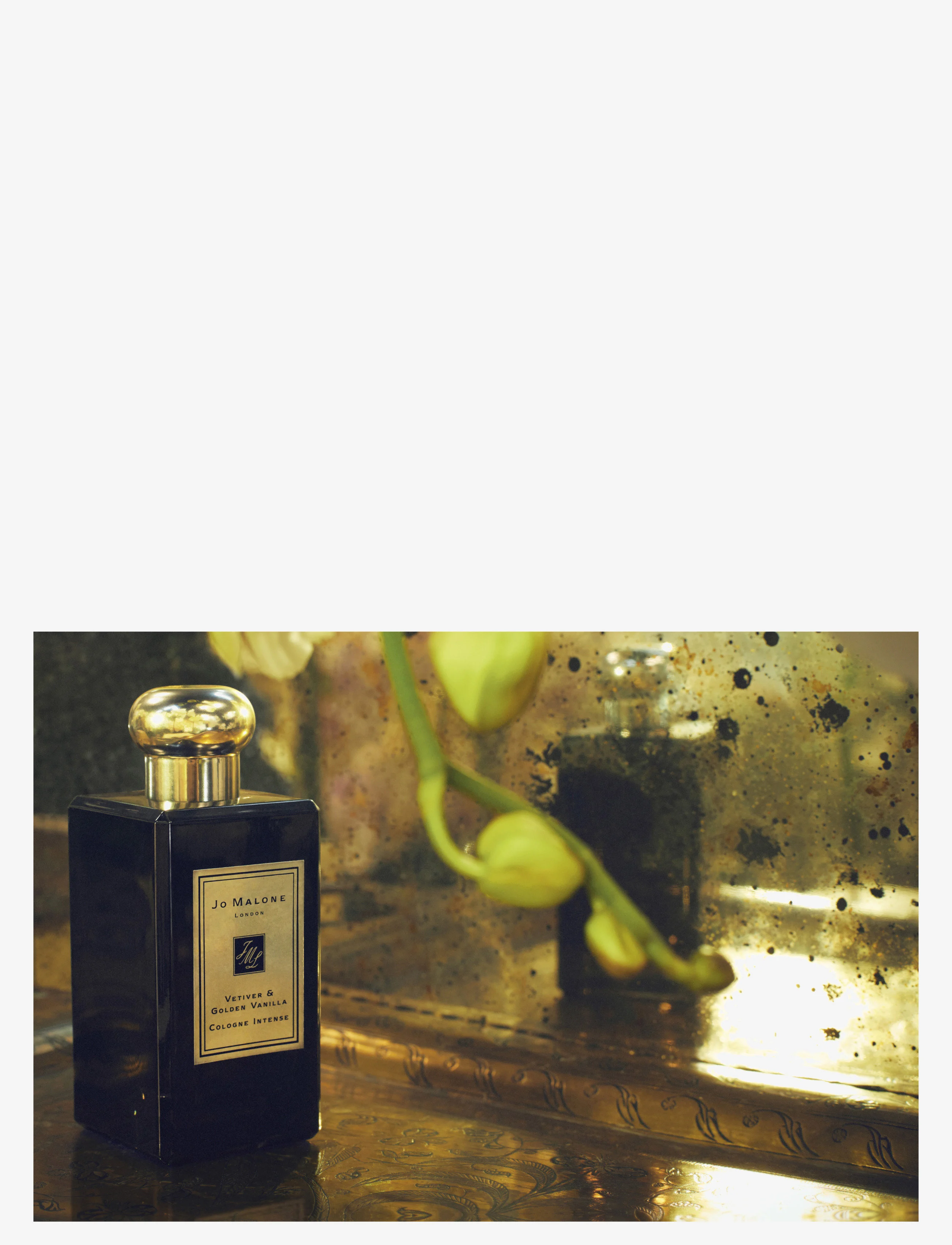 Jo Malone London - Vetiver & Golden Vanilla Cologne Intense - no colour - 1