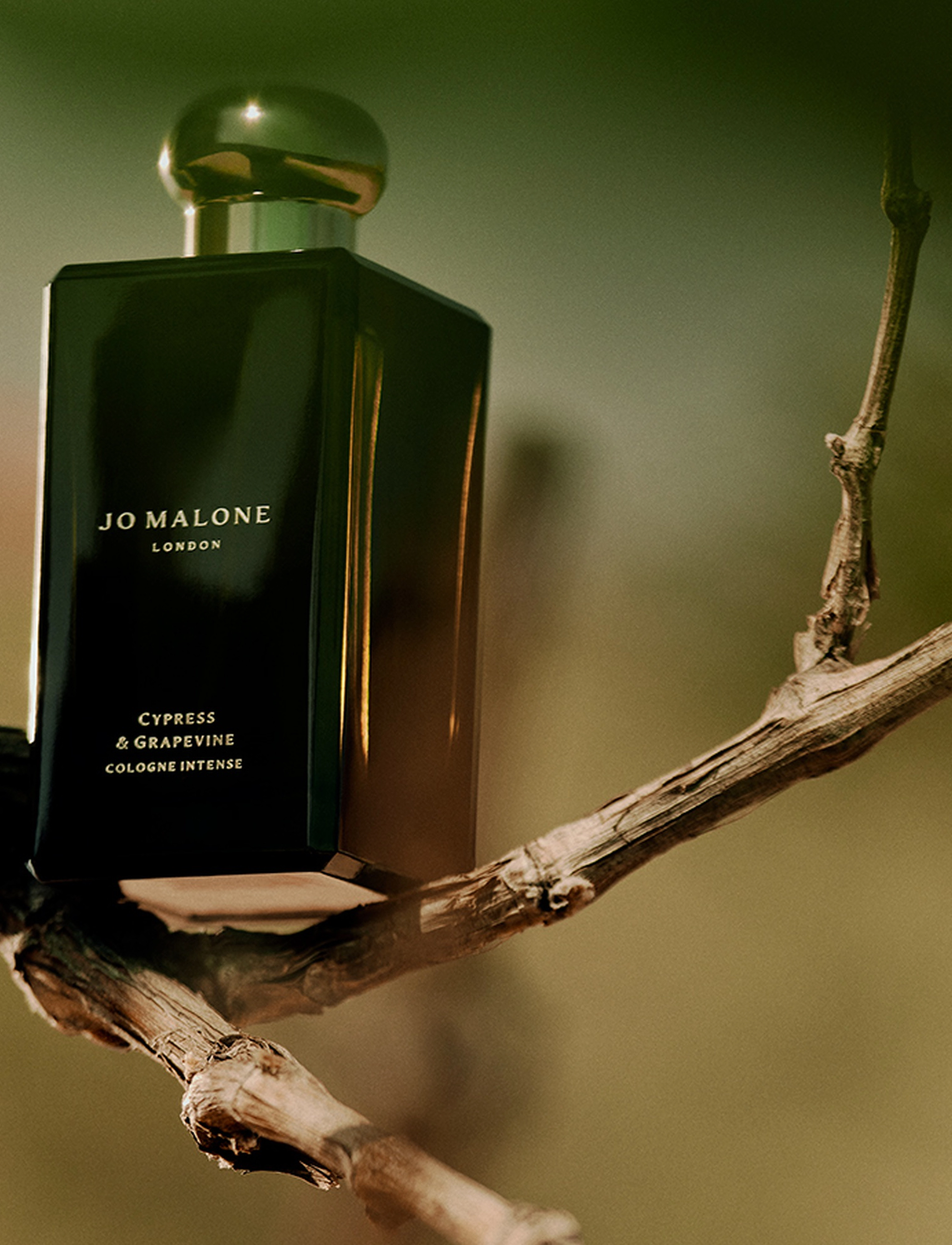 Jo Malone London - Cypress & Grapevine Cologne Intense Pre-Pack - unisex - clear - 3