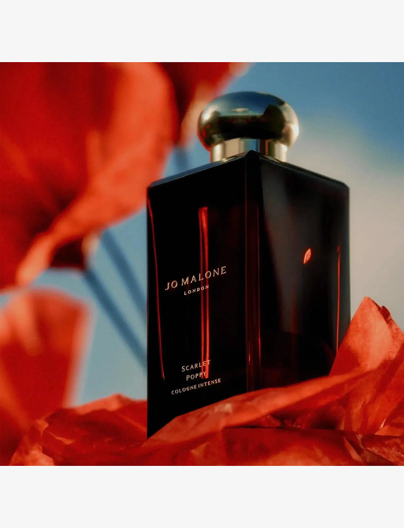 Jo Malone London - Scarlet Poppy Cologne Intense Pre-Pack - unisex - clear - 4