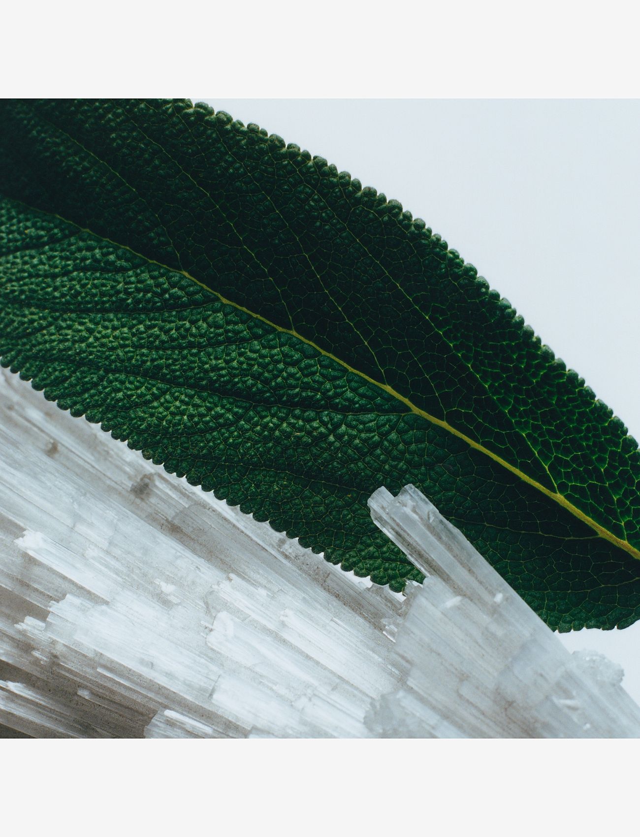 Jo Malone London - Wood Sage & Sea Salt Home Diffuser - unisex - multi - 2