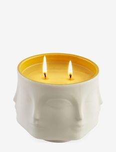 Muse Pamplemousse Candle, Jonathan Adler
