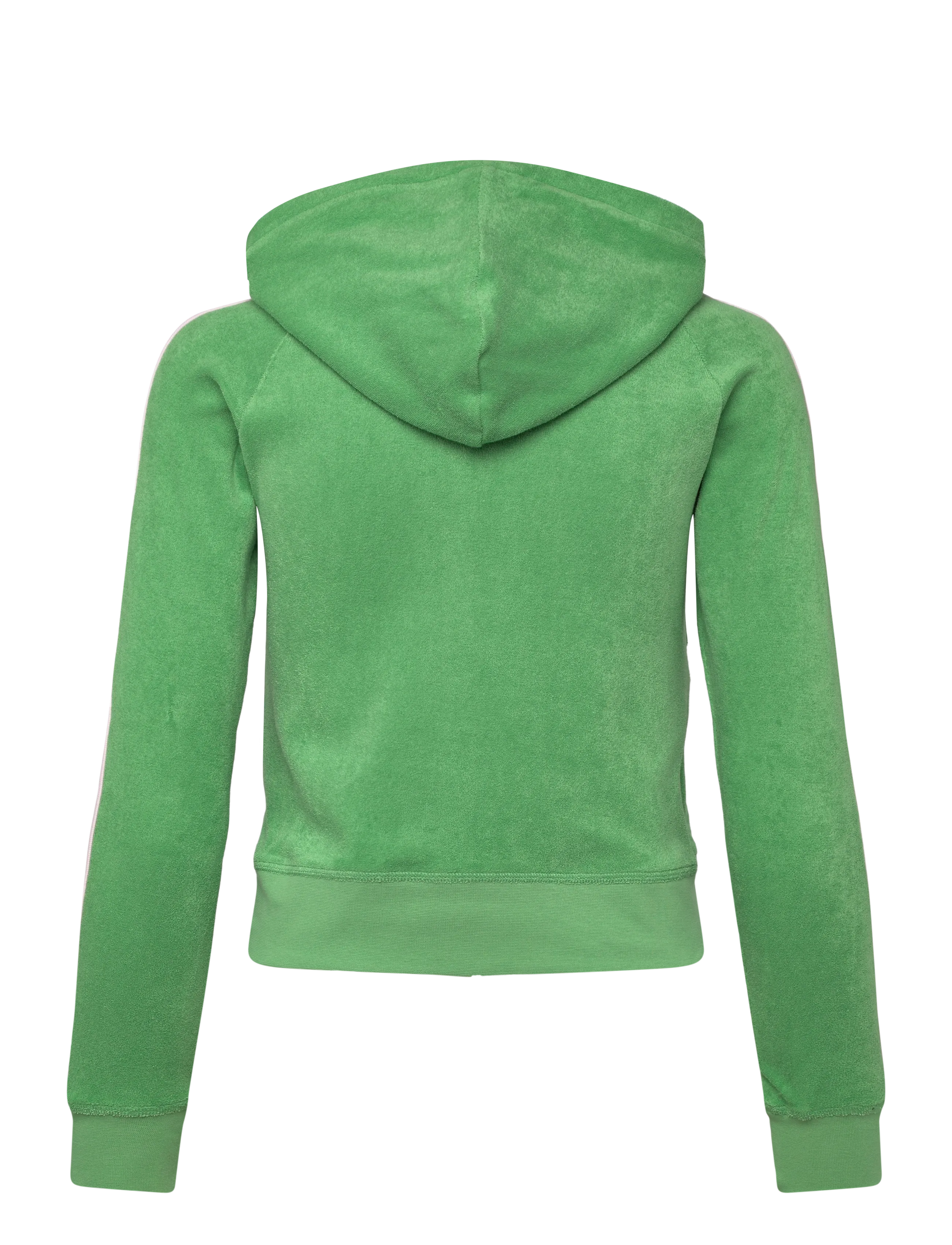 Juicy Couture - APPLIQUE TERRY HOODIE - kapuzenpullover - peppermint - 2