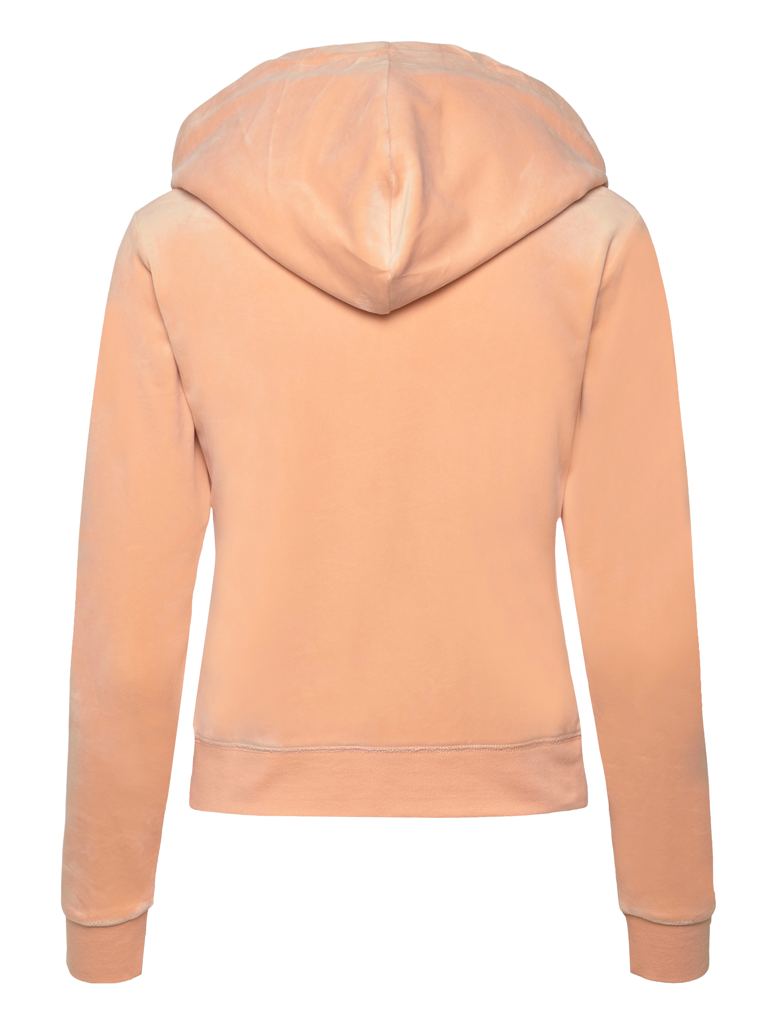 Juicy Couture - ROBERTSON HOODIE - huvtröja - beach sand - 1