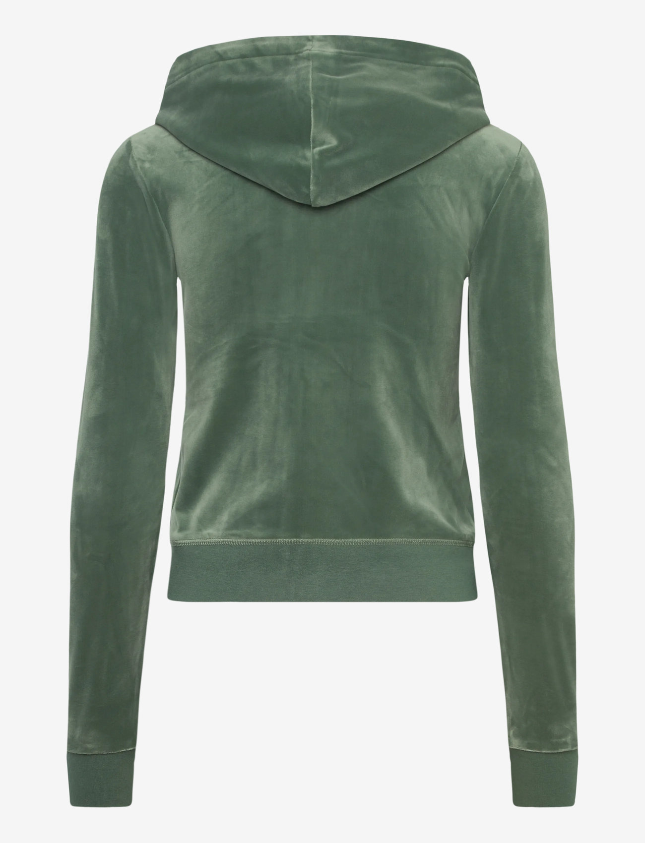 Juicy Couture - ROBERTSON HOODIE - dressikomplektid - duck green - 1