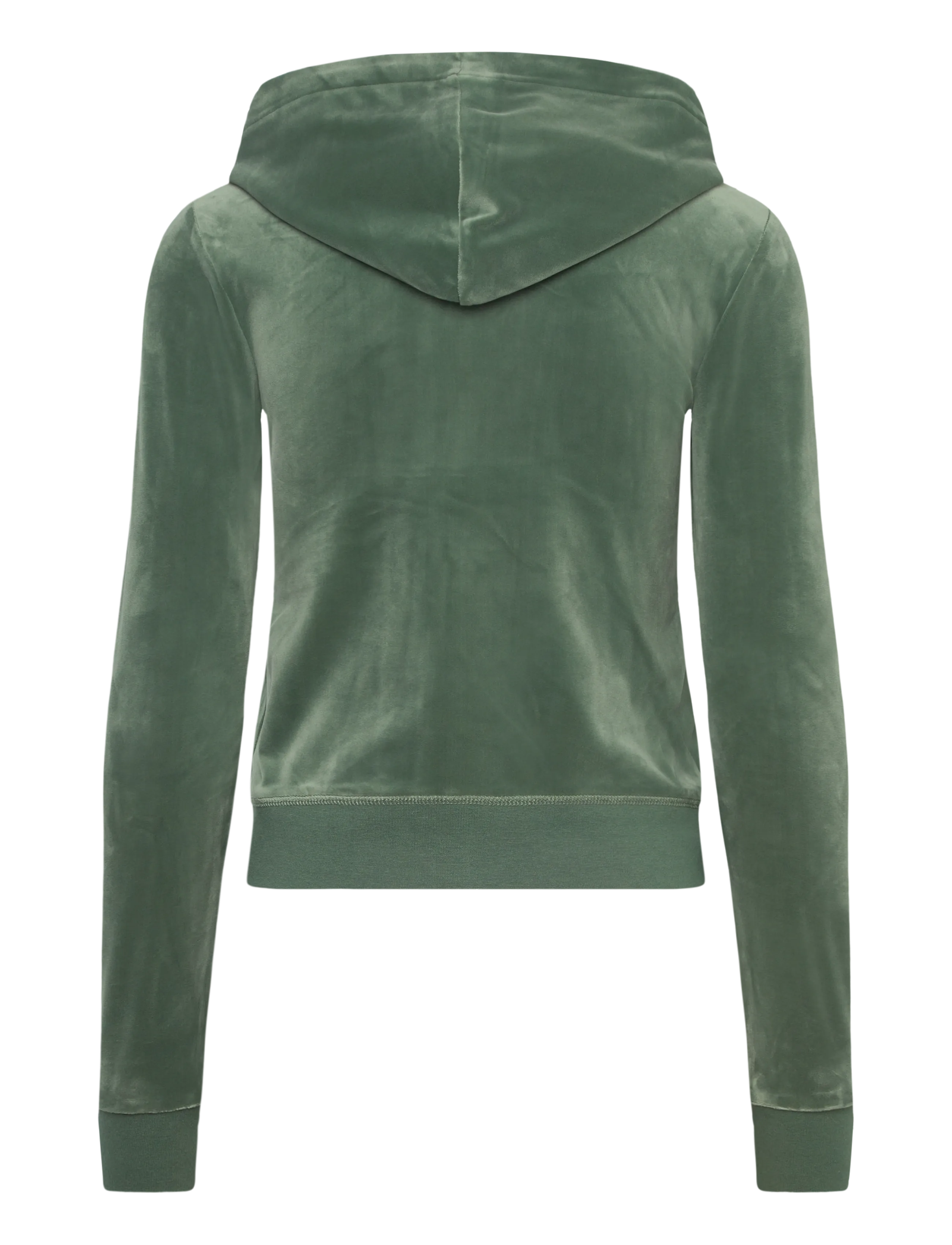 Juicy Couture - ROBERTSON HOODIE - hættetrøjer - duck green - 1