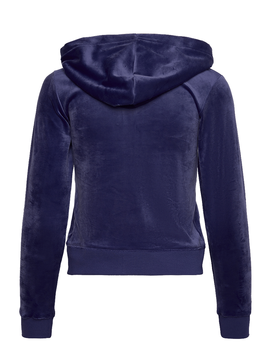 Juicy Couture - ROBERTSON HOODIE - kapuutsiga pusad - gray blue - 2
