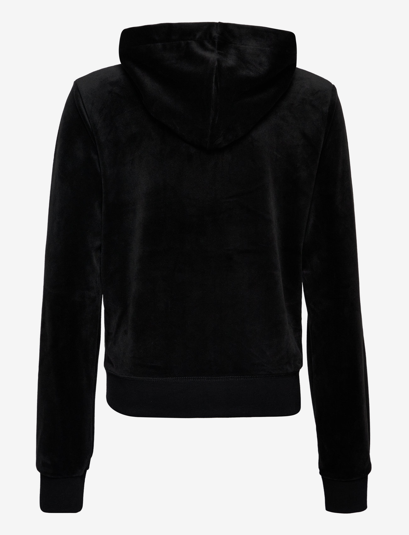 Juicy Couture - ROBERTSON HOODIE - kapuutsiga dressipluusid - black - 2