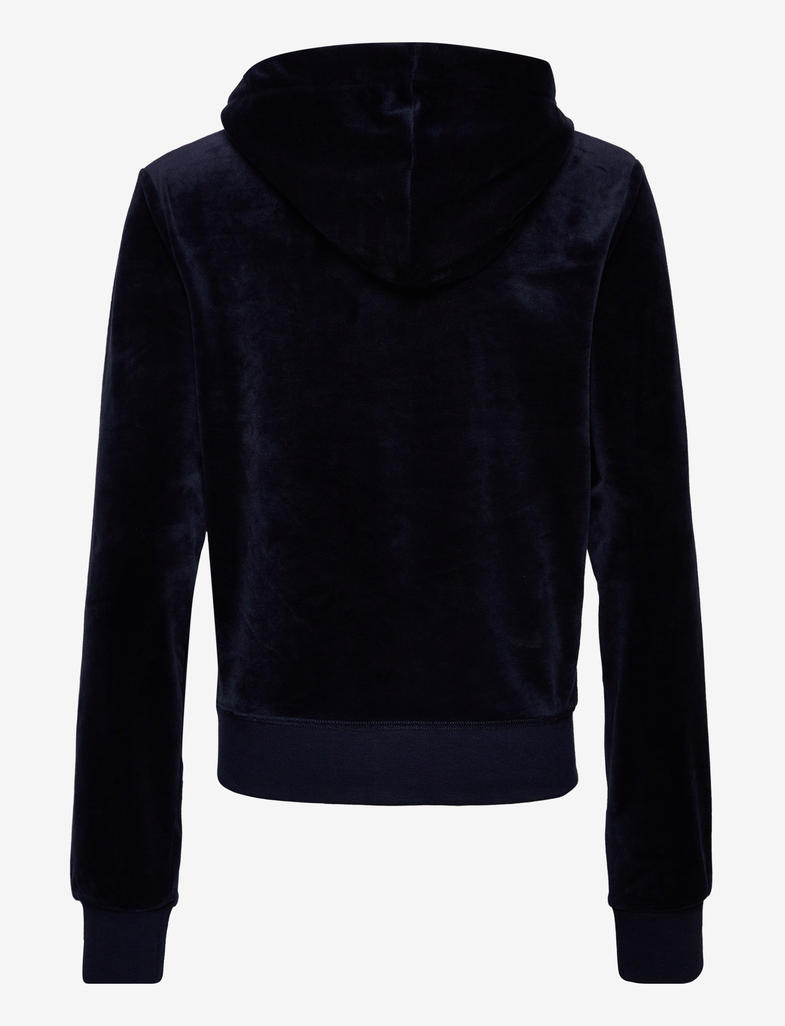 Juicy Couture - ROBERTSON HOODIE - kapuutsiga dressipluusid - night sky - 2