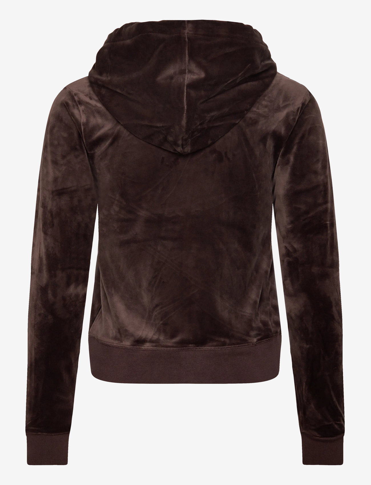 Juicy Couture - ROBERTSON GOLD HOODIE - kapuzenpullover - java - 1