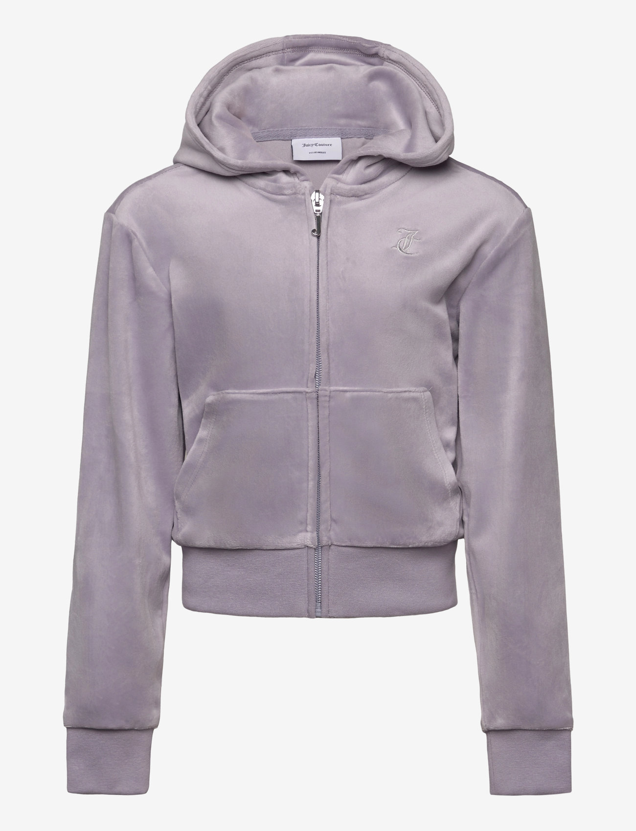 Juicy Couture - Tonal Zip Through Hoodie - kapuutsiga dressipluusid - dapple grey - 0