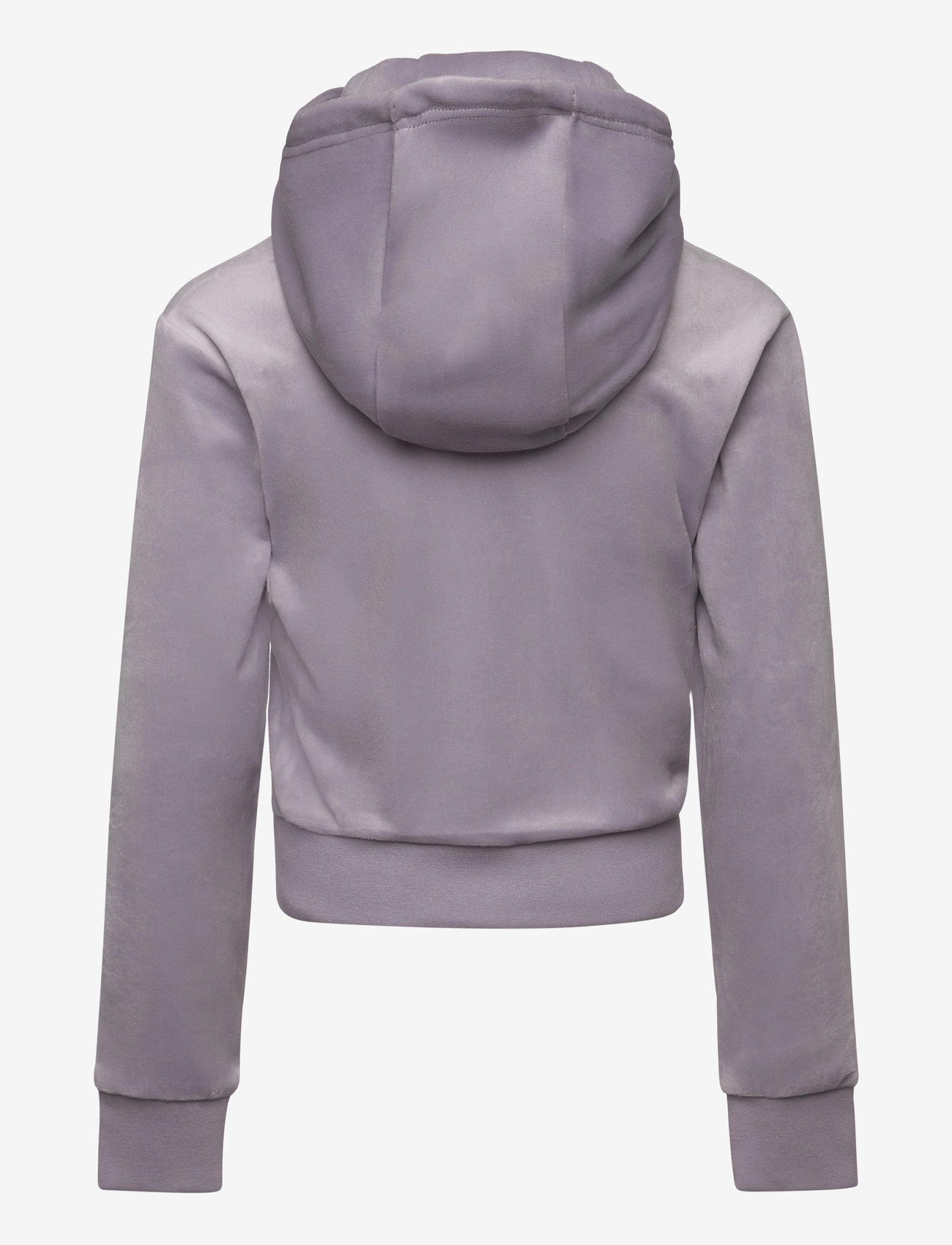 Juicy Couture - Tonal Zip Through Hoodie - kapuutsiga dressipluusid - dapple grey - 1