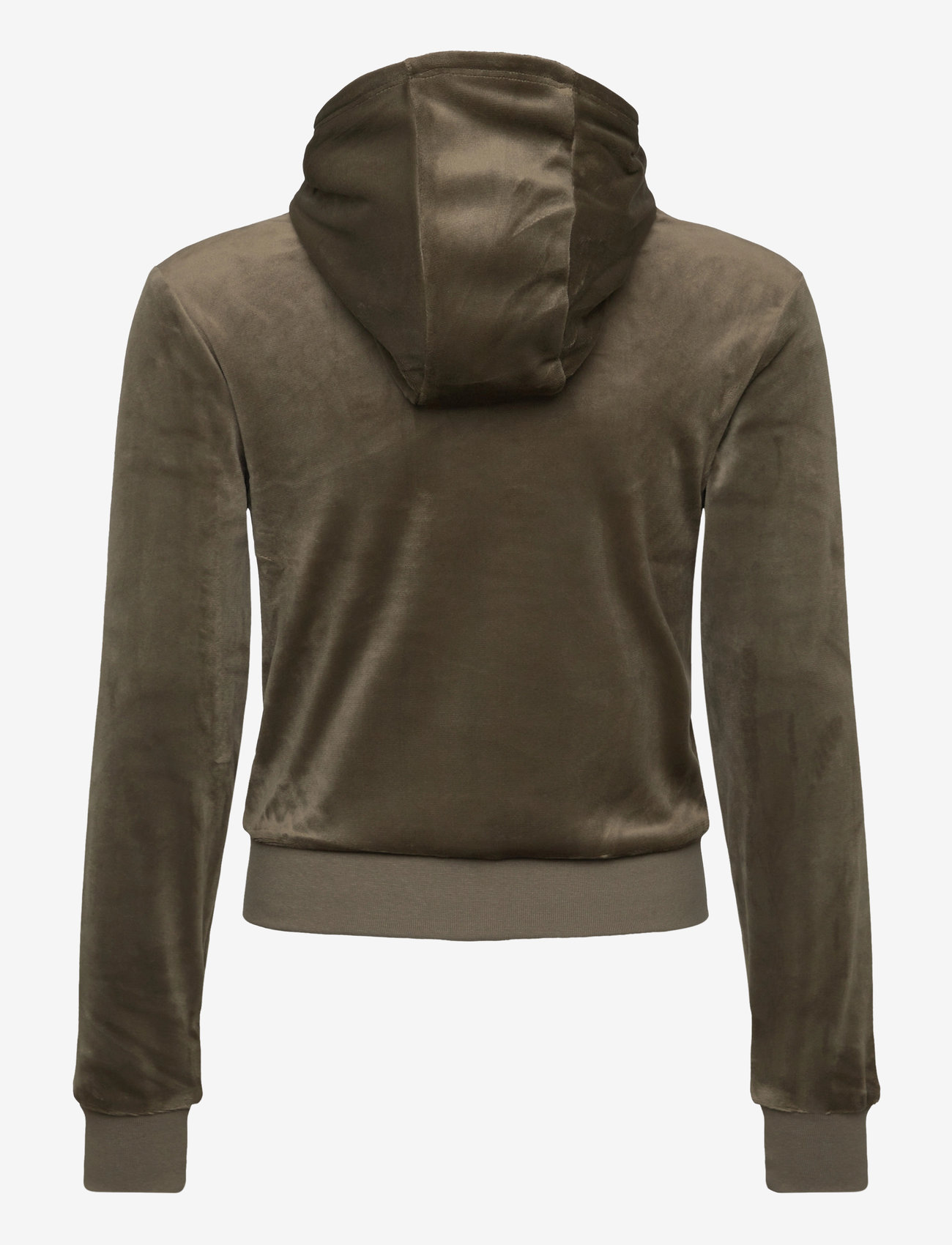 Juicy Couture - Tonal Zip Through Hoodie - kapuutsiga dressipluusid - tea leaf - 1