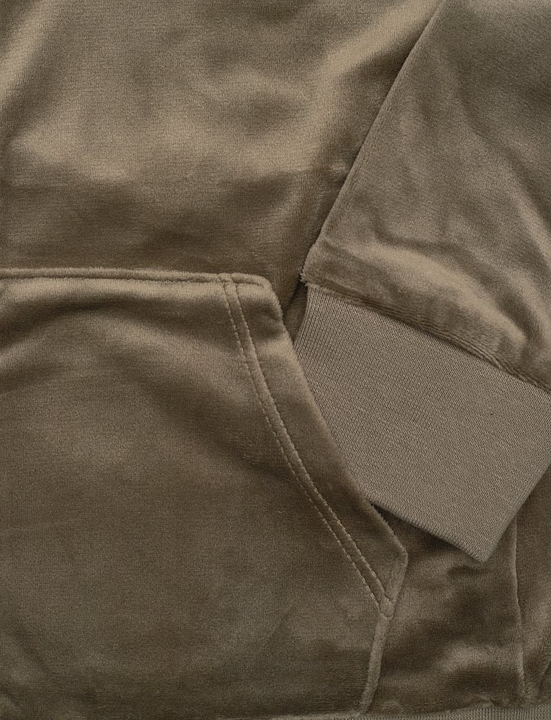 Juicy Couture - Tonal Zip Through Hoodie - kapuutsiga dressipluusid - tea leaf - 3