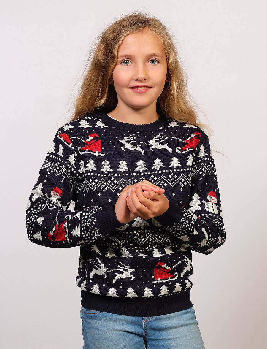 Happy Seasons - The Stylish Christmas Jumper Navy - pullover - navy/blue - 0