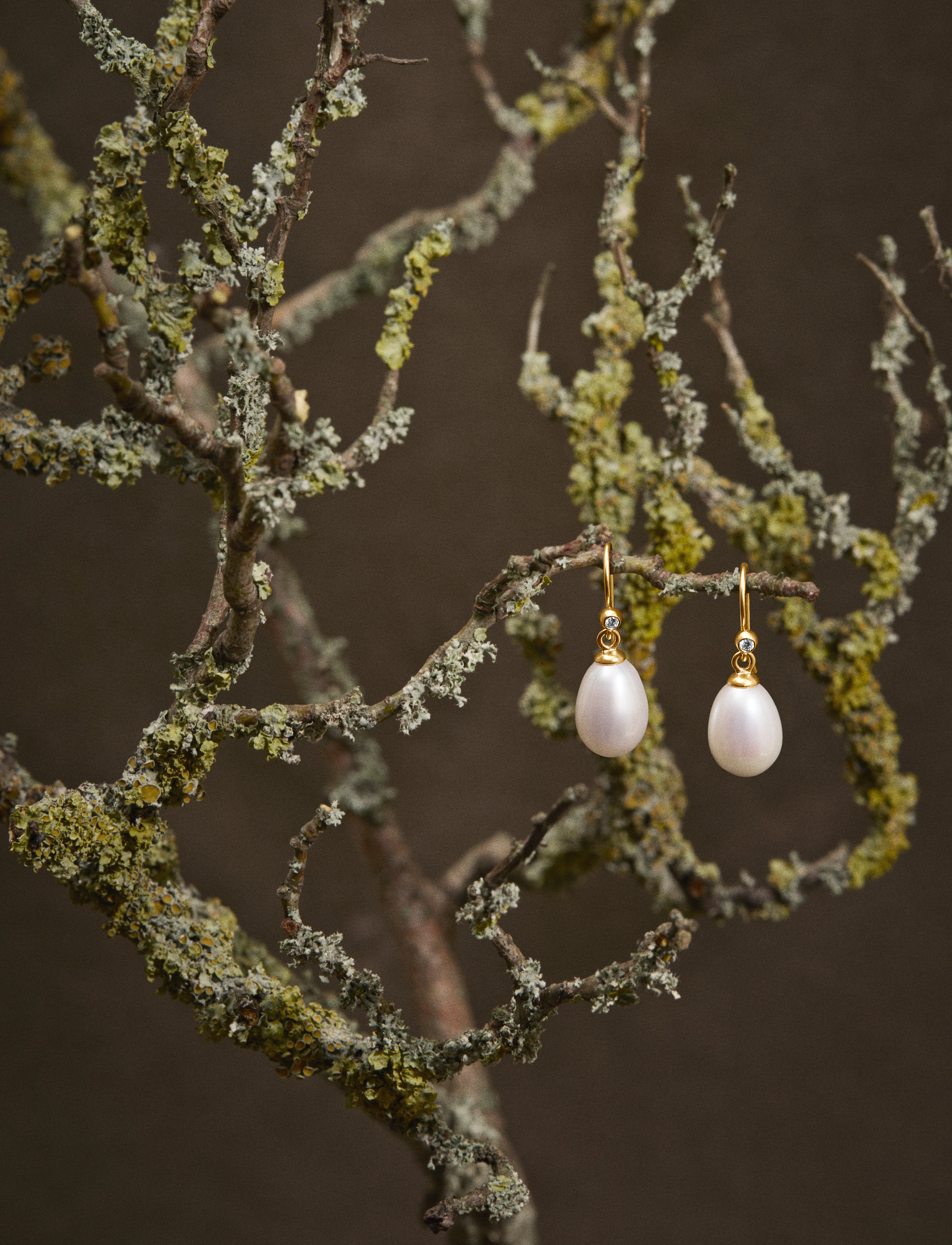 Julie Sandlau - Afrodite earring  - Gold - perlenohrringe - pearl white - 2