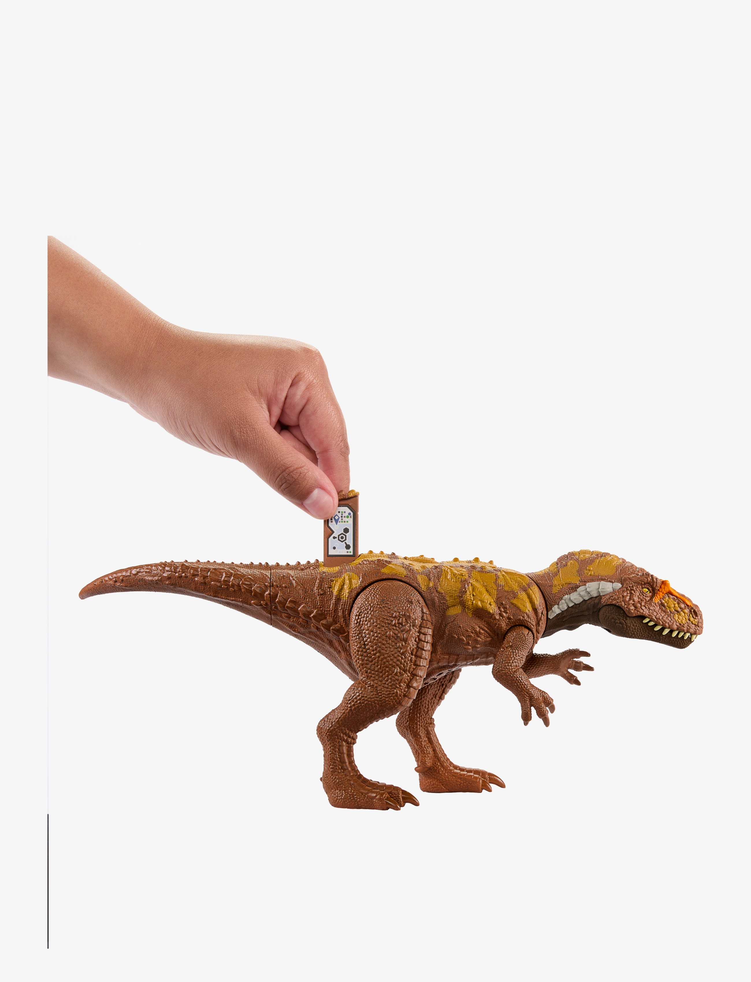 Jurassic world - Jurassic World WILD ROAR Megalosaurus - multicolor - 3
