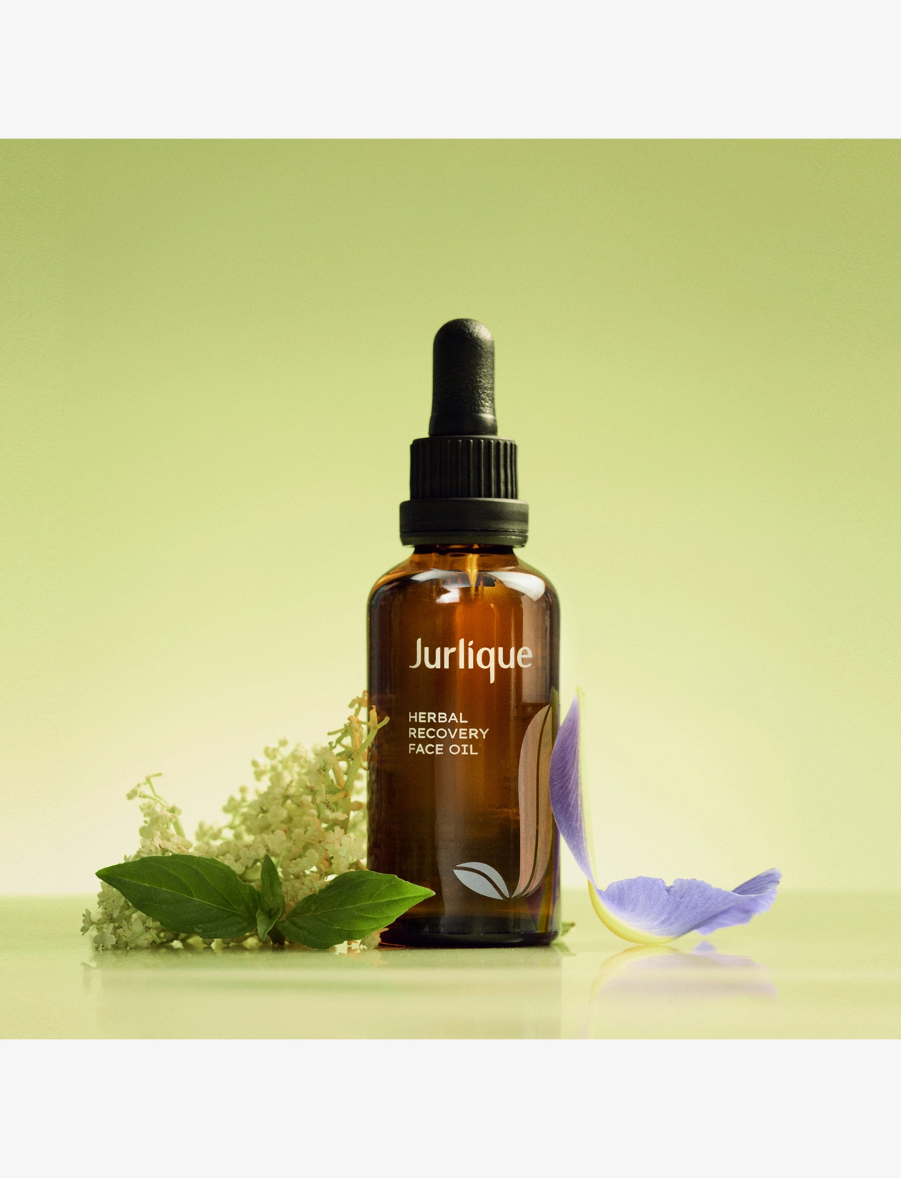 Jurlique - HERBAL RECOVERY FACE OIL 50 ML - ansiktsolja - clear - 3