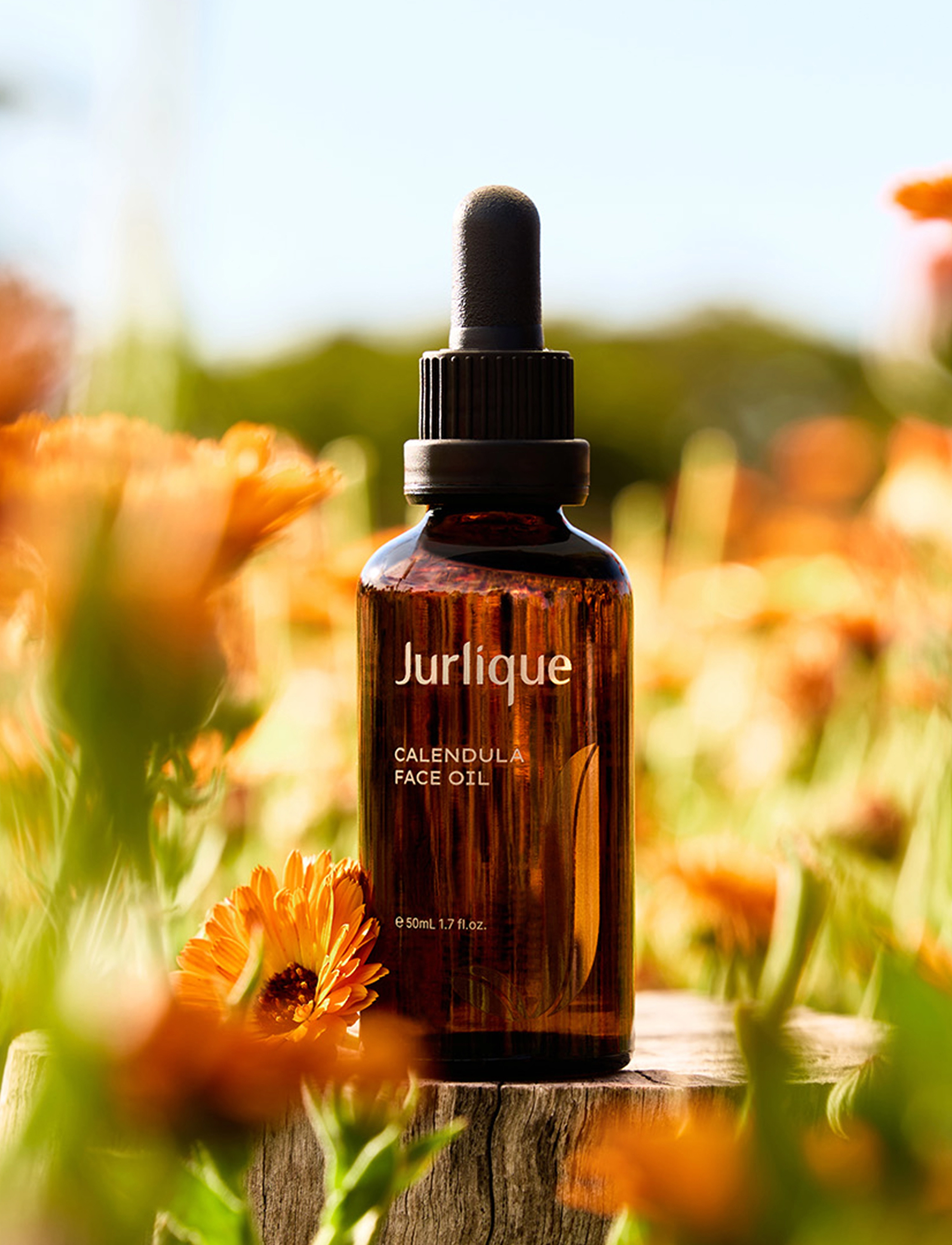 Jurlique - CALENDULA FACE OIL 50 ML - ansigtsolier - clear - 5