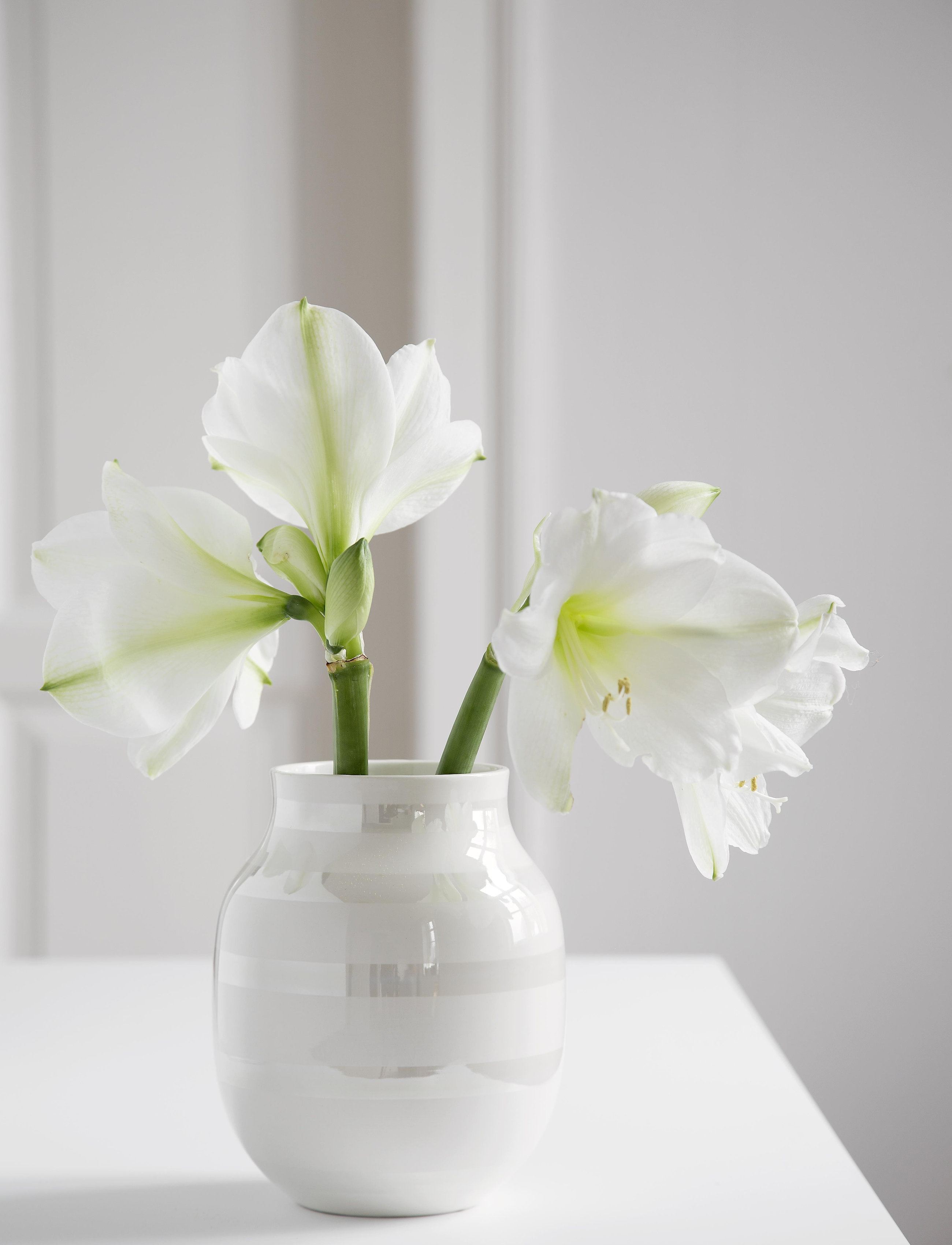 Kähler Omaggio Vase, H20 cm, Silver, Vaser > Store Vaser, Unisex