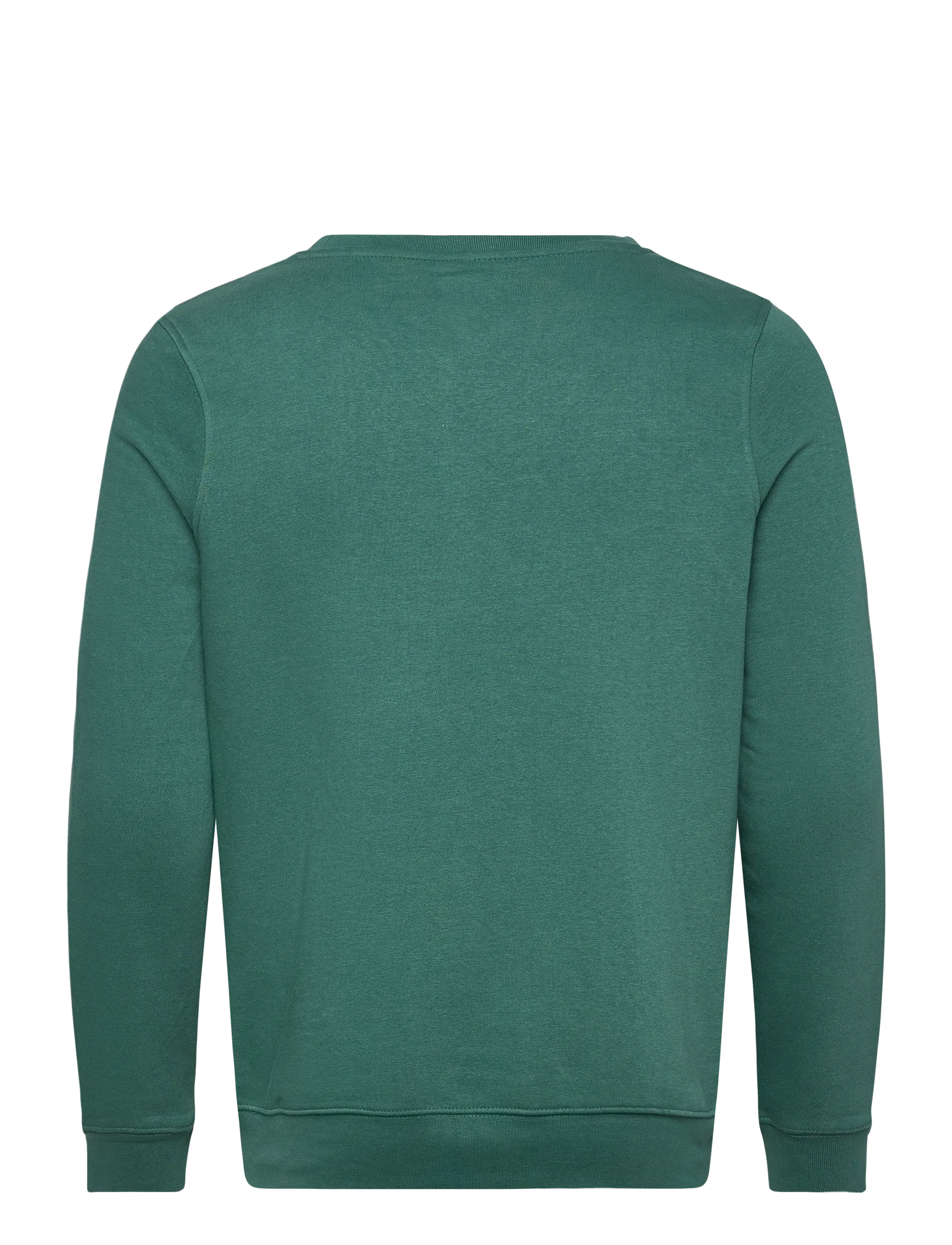 KAPPA - Logo Airvit - laveste priser - green jasper - 2