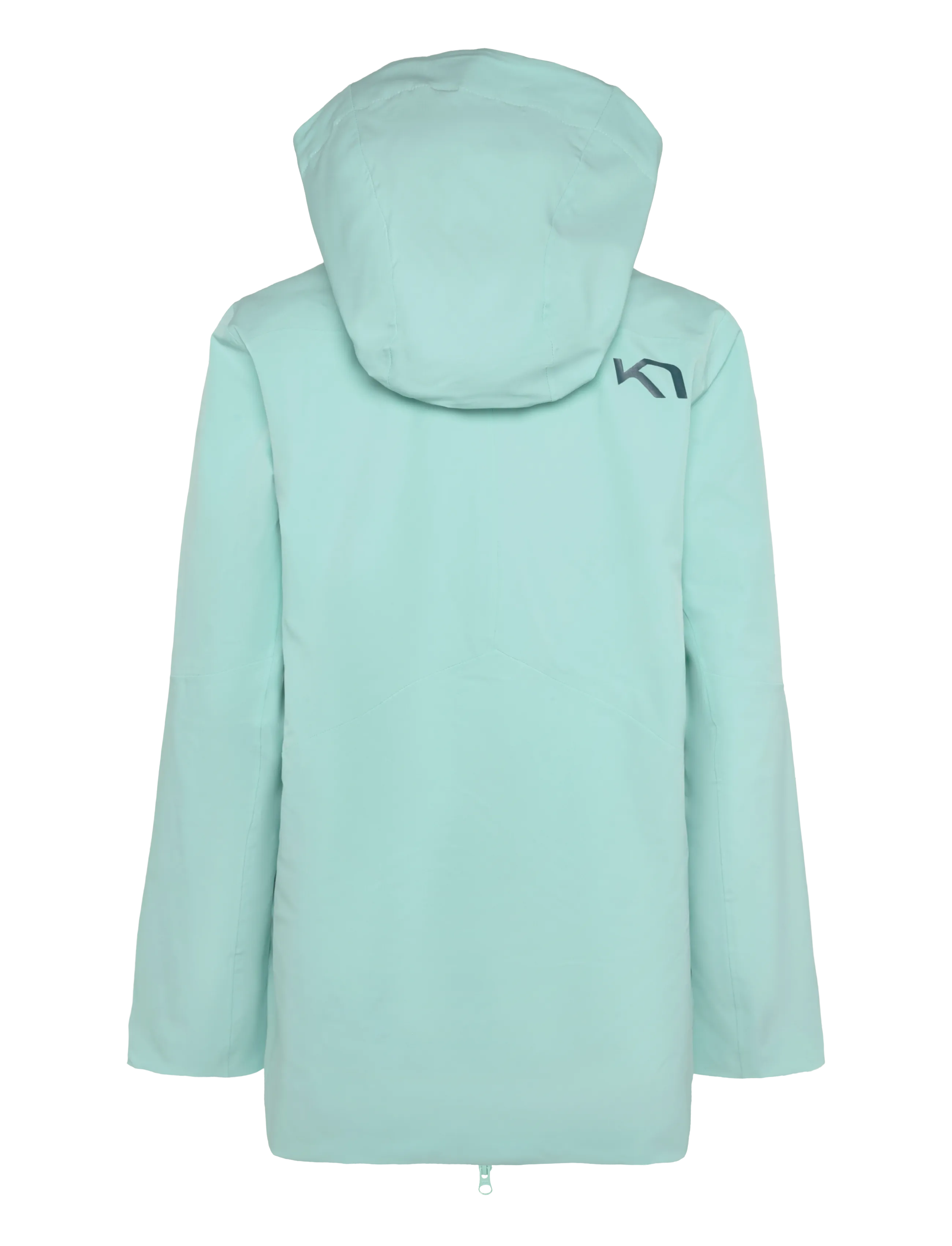 Kari Traa - JOHANNE SKI JACKET - herbstersparnisse - jelly - 1
