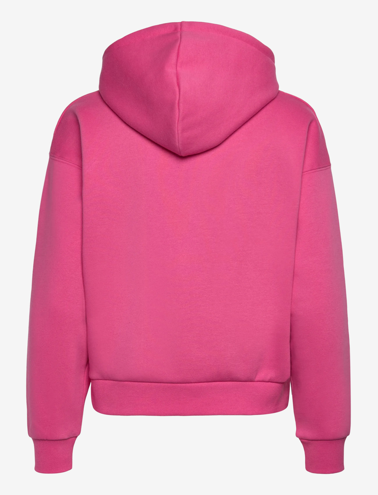 Kari Traa - ANELIE LOGO HOOD - oberteile - spink - 2