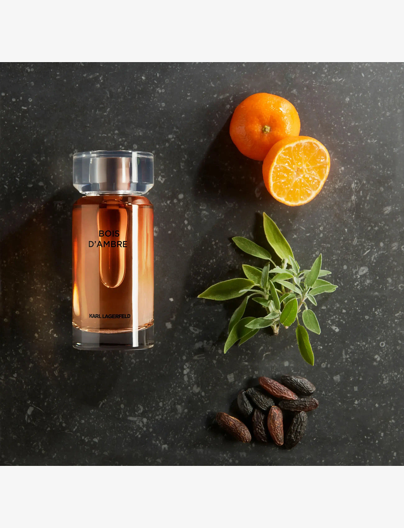 Karl Lagerfeld Fragrance - Classic Deo Stick - deostift - clear - 1